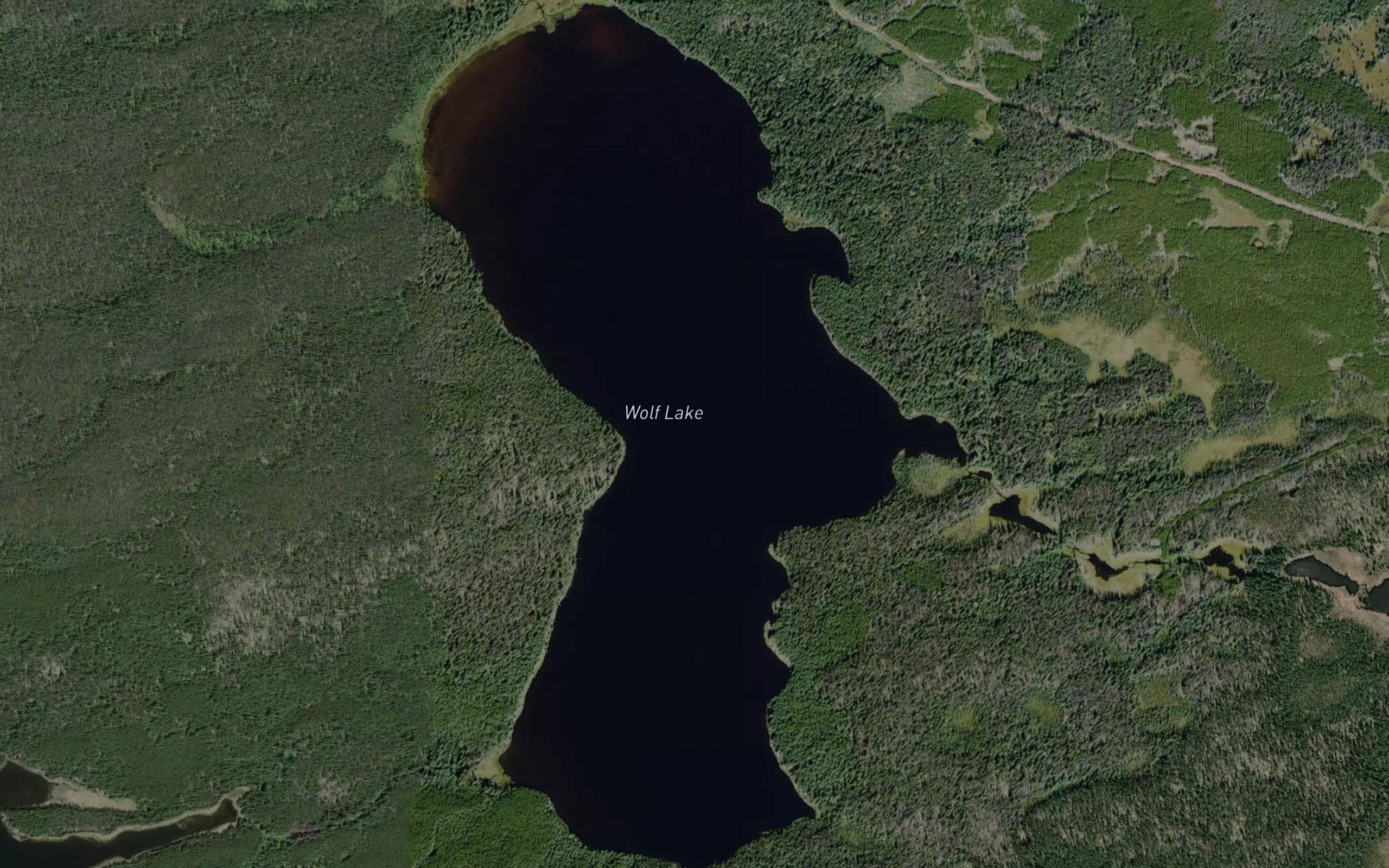 Wolf Lake