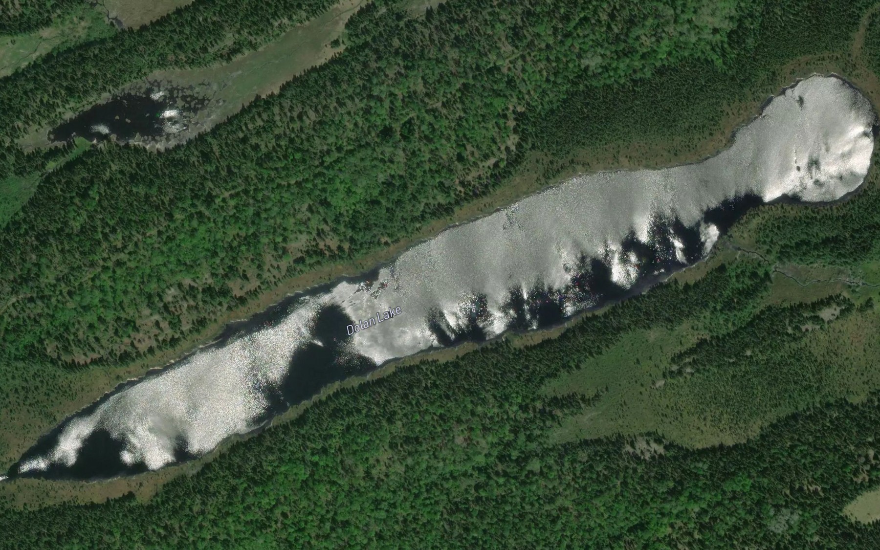 Satellite map of the Dolan Lake