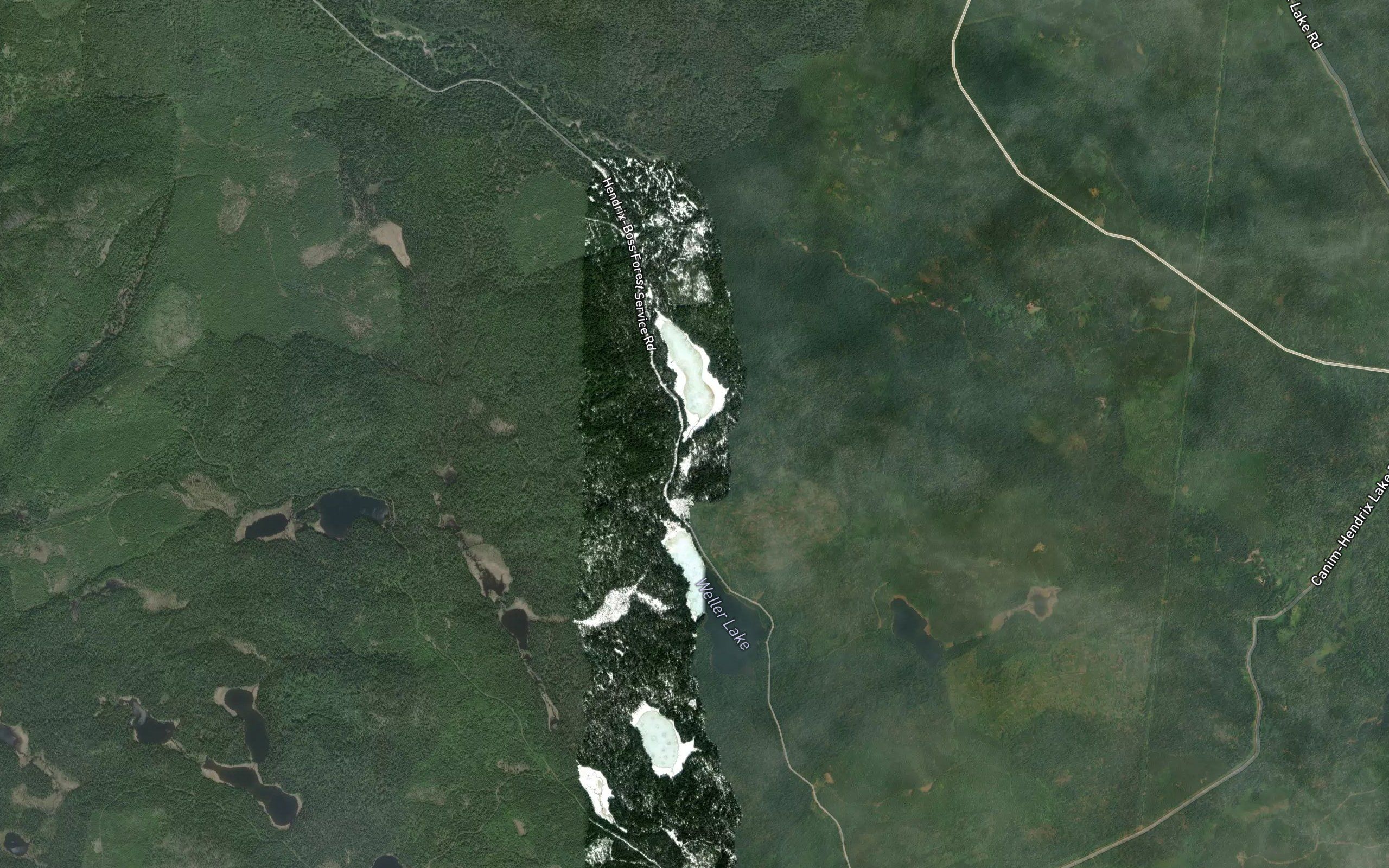 Beartrack Lake