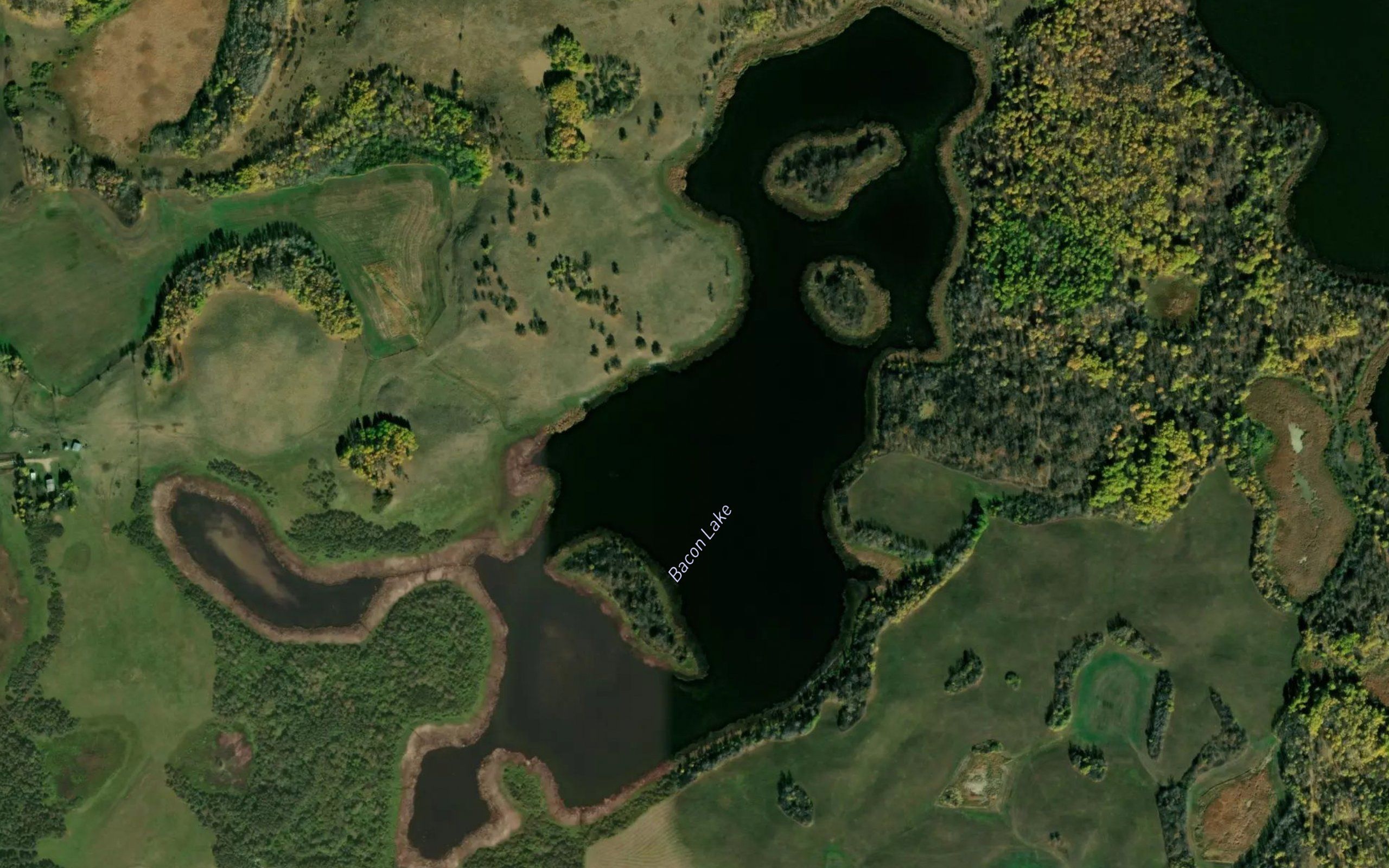 Bacon Lake