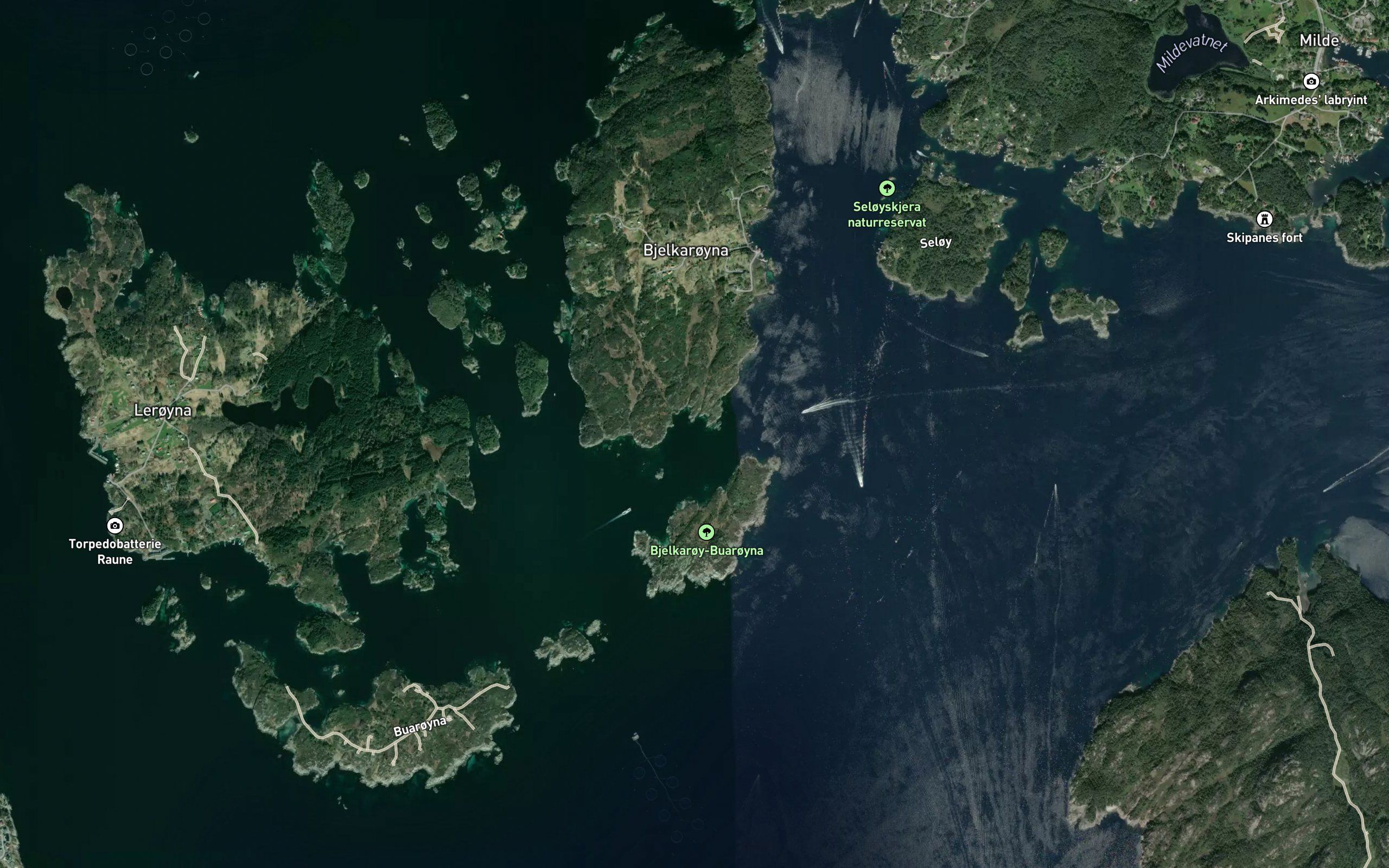 Jaktavika