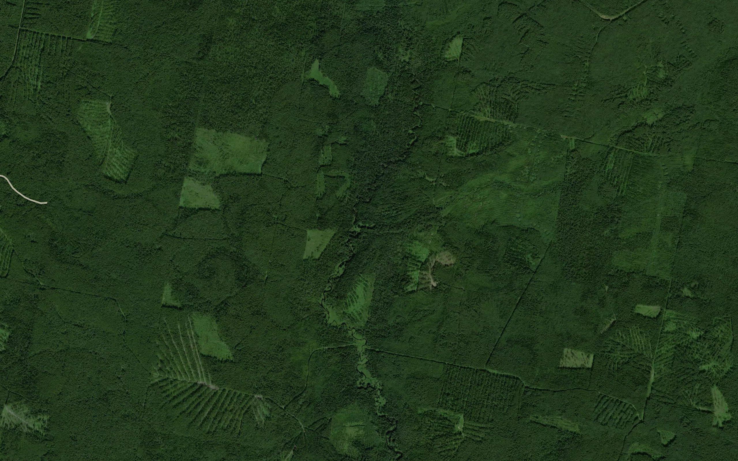 Dymovka