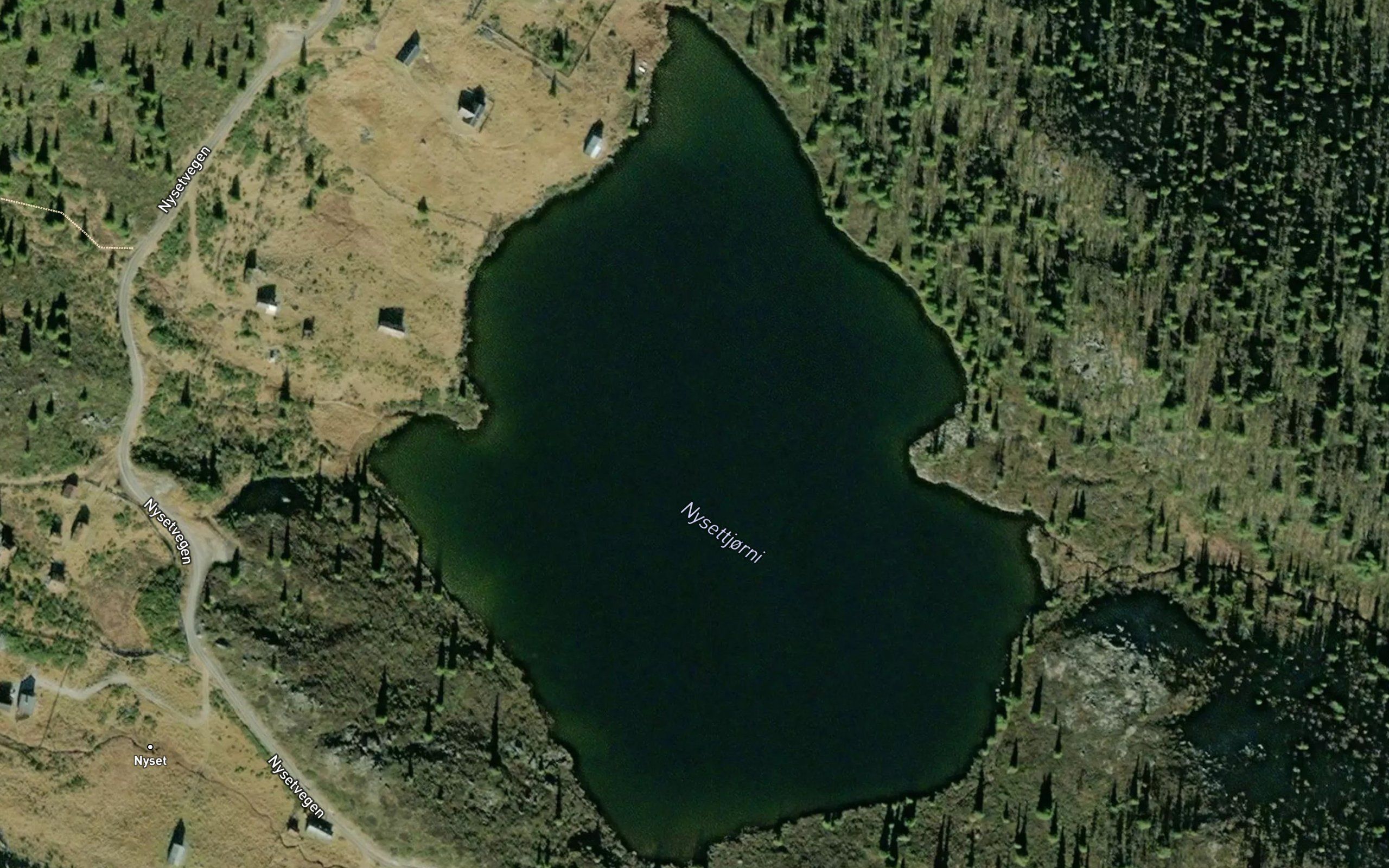 Nysettjorn