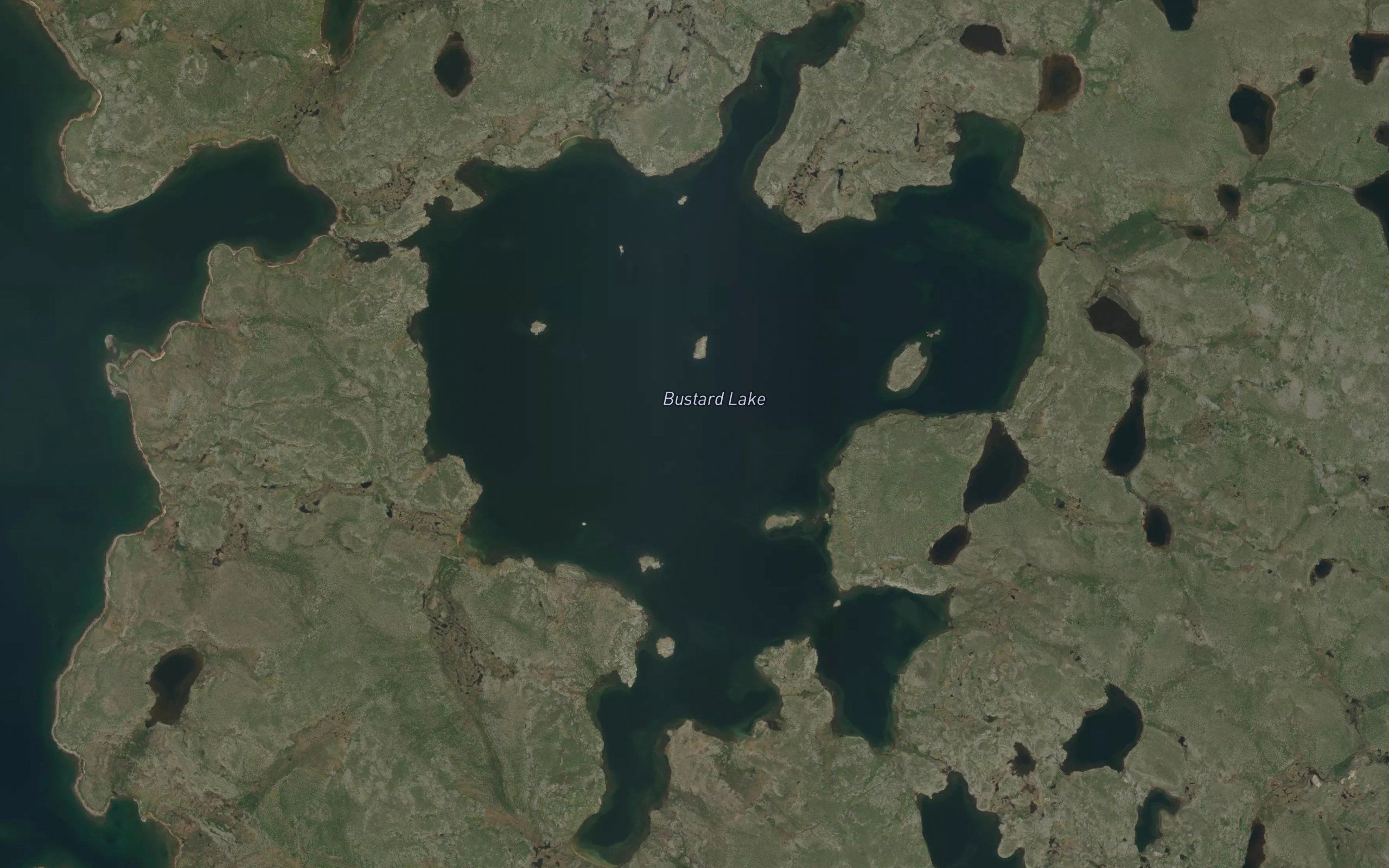 Bustard Lake