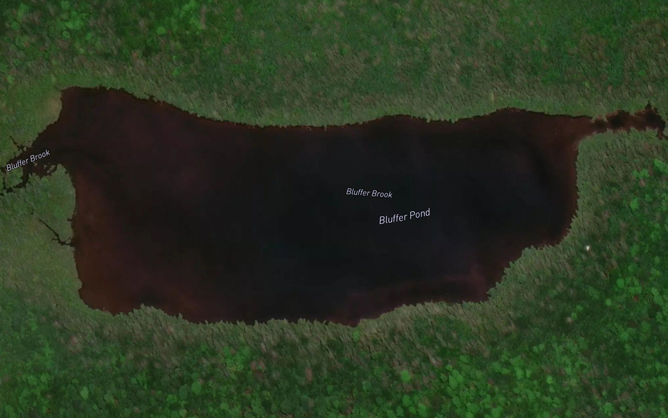 Bluffer Pond