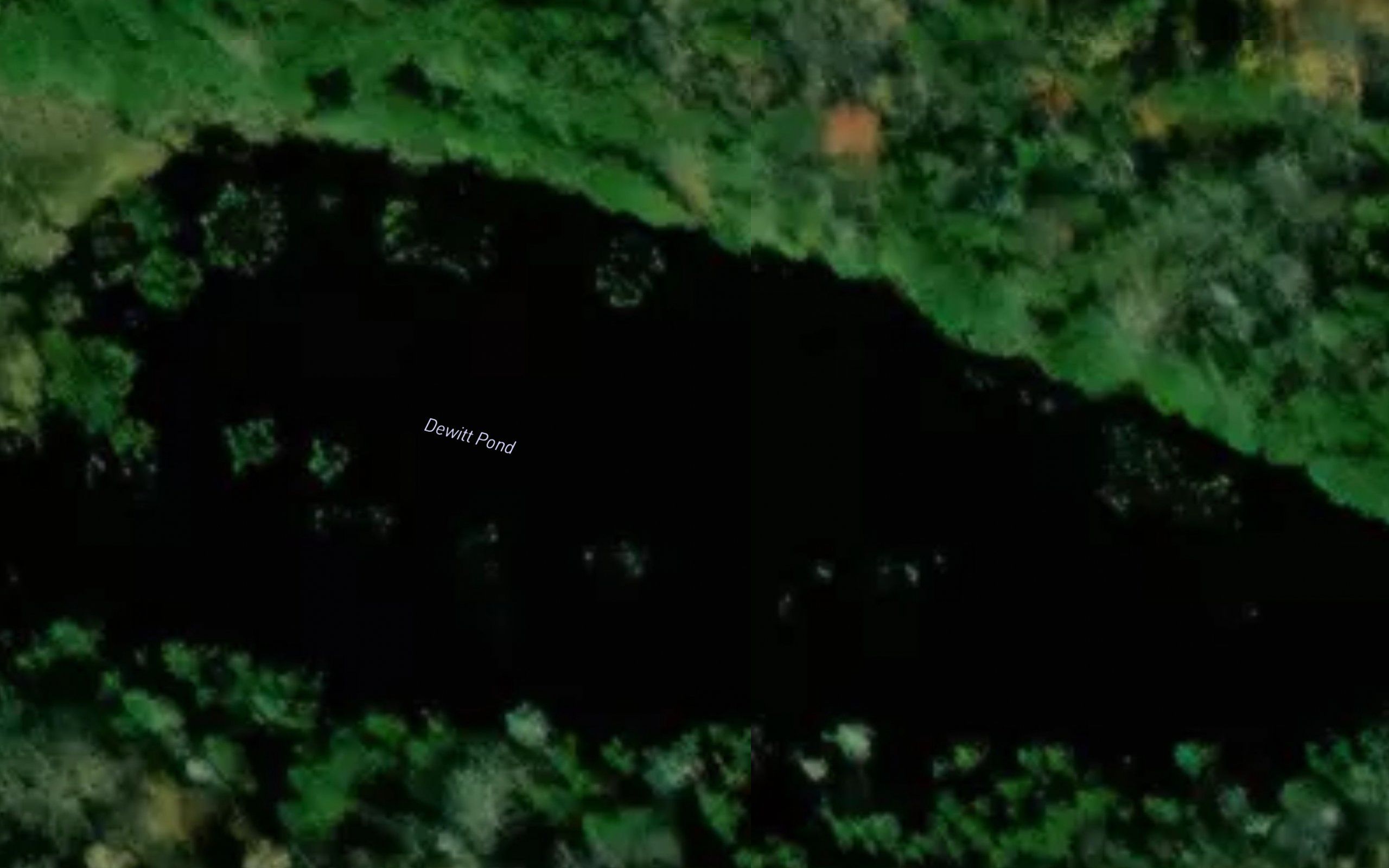 Dewitt Pond