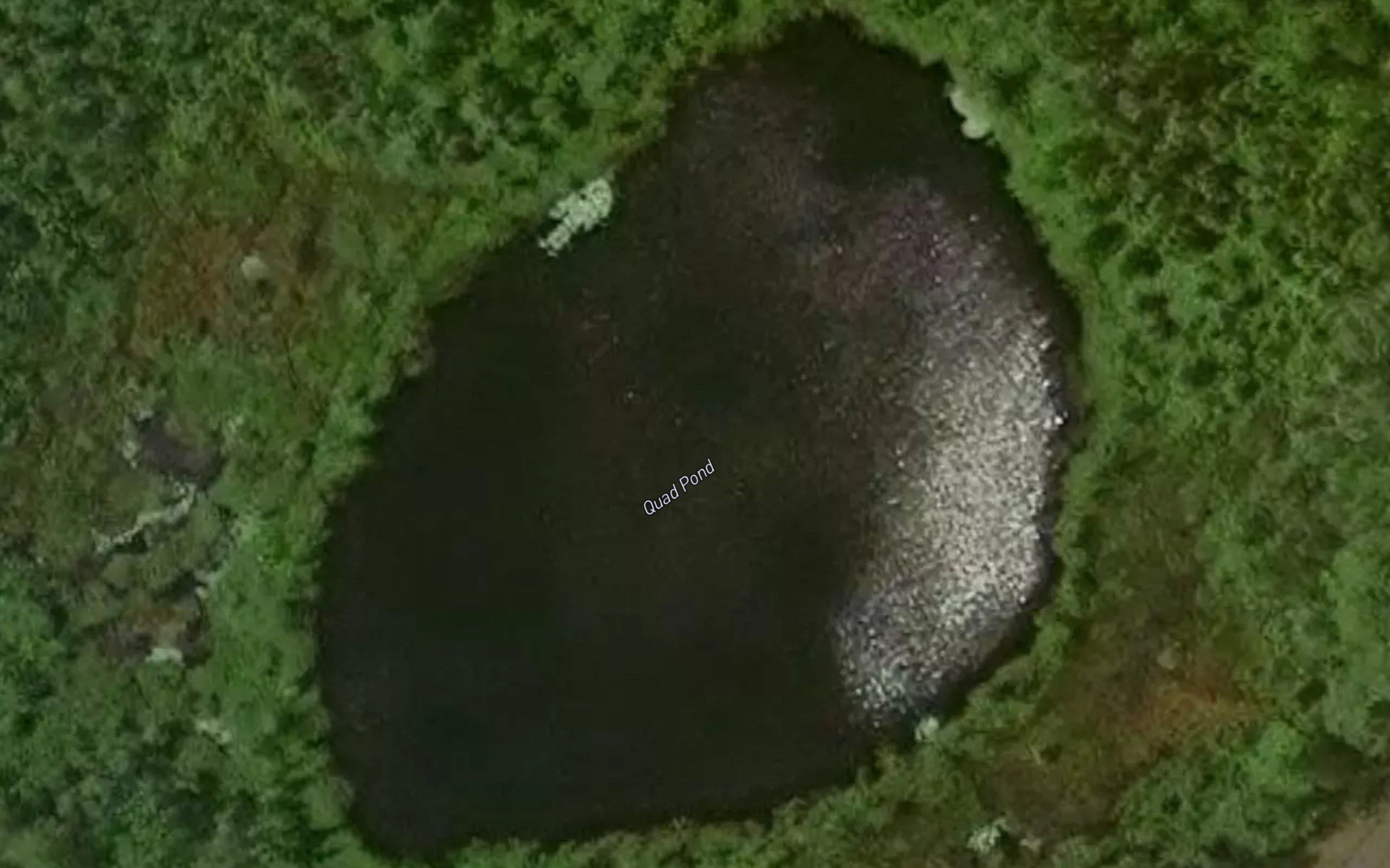 Quag Pond