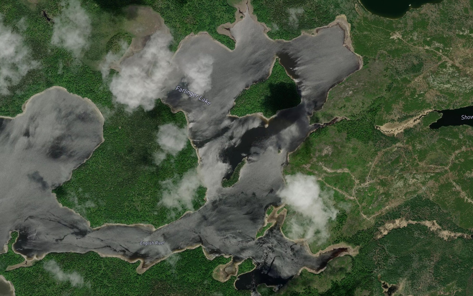Satellite map of the Farlinger Lake