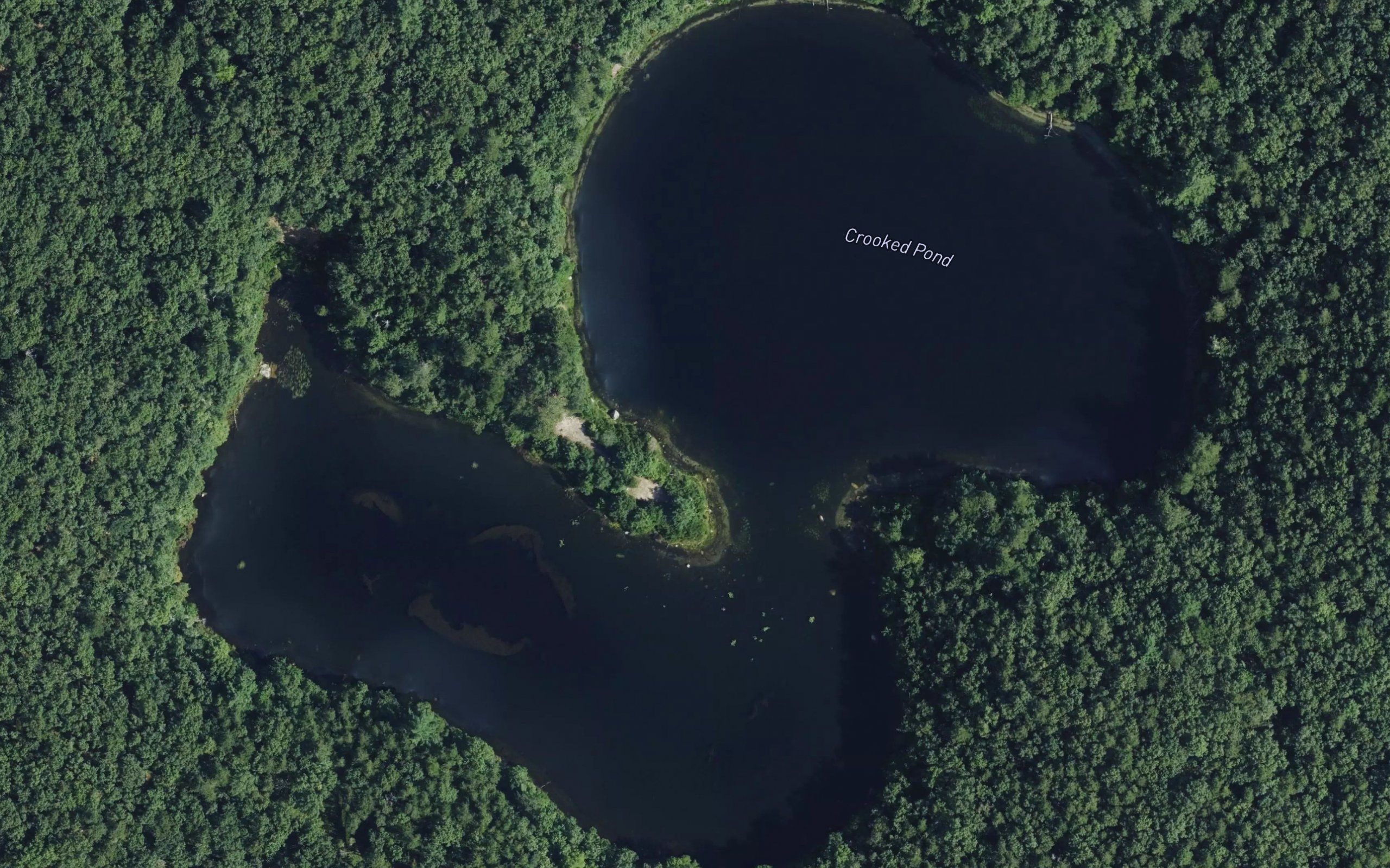 Crooked Pond