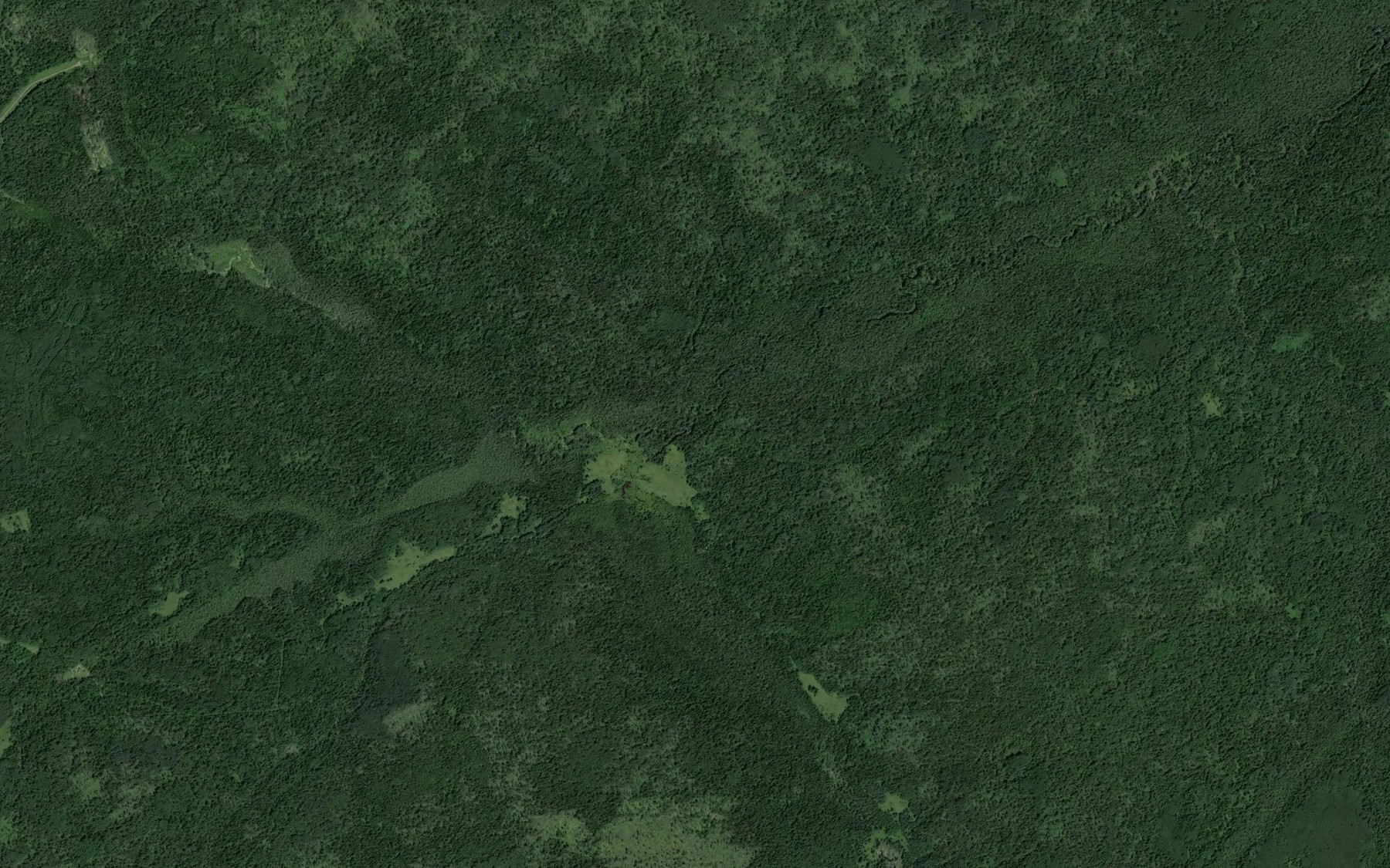 Satellite map of the Poldnevaya Yaya