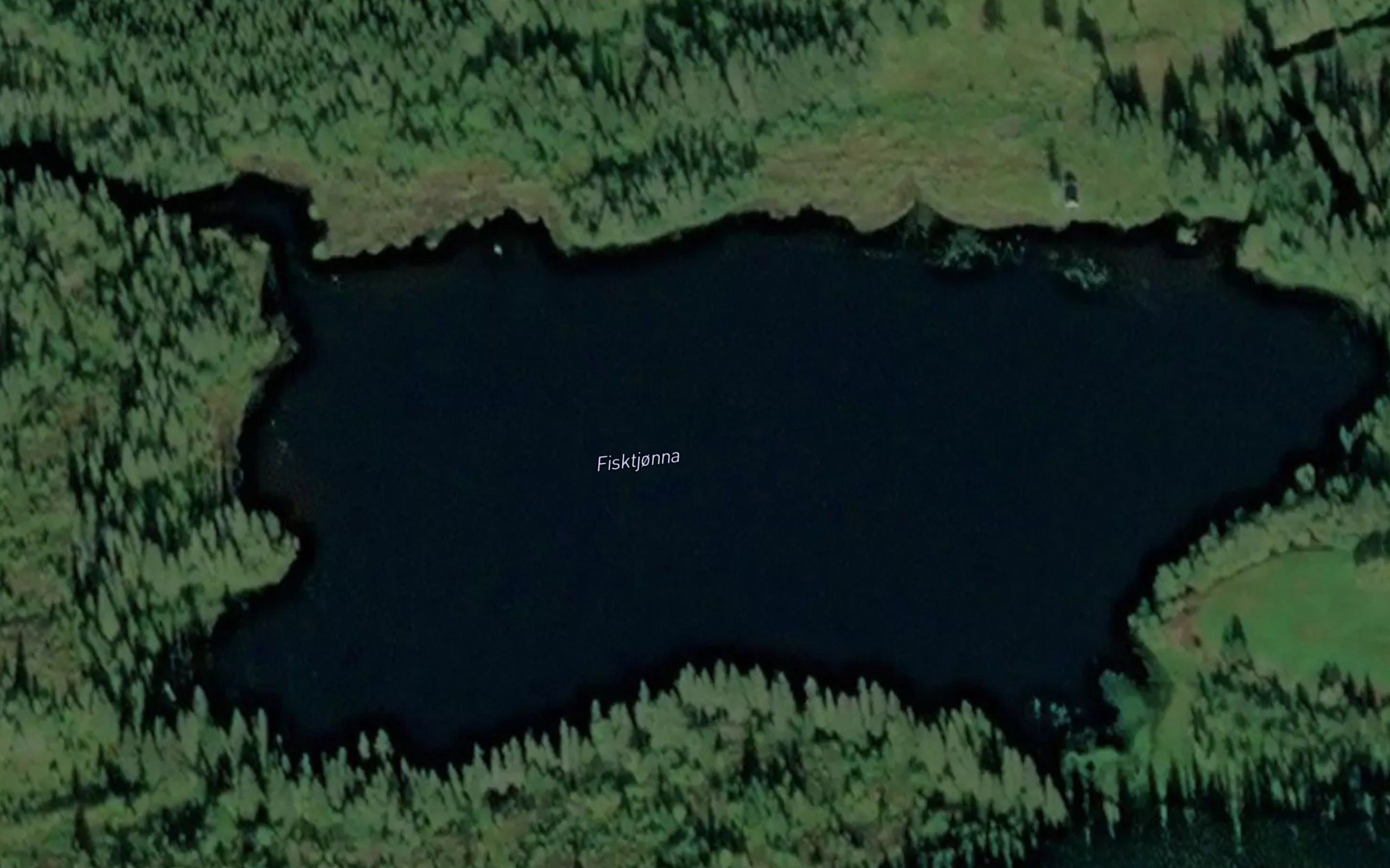 Fisktjorna