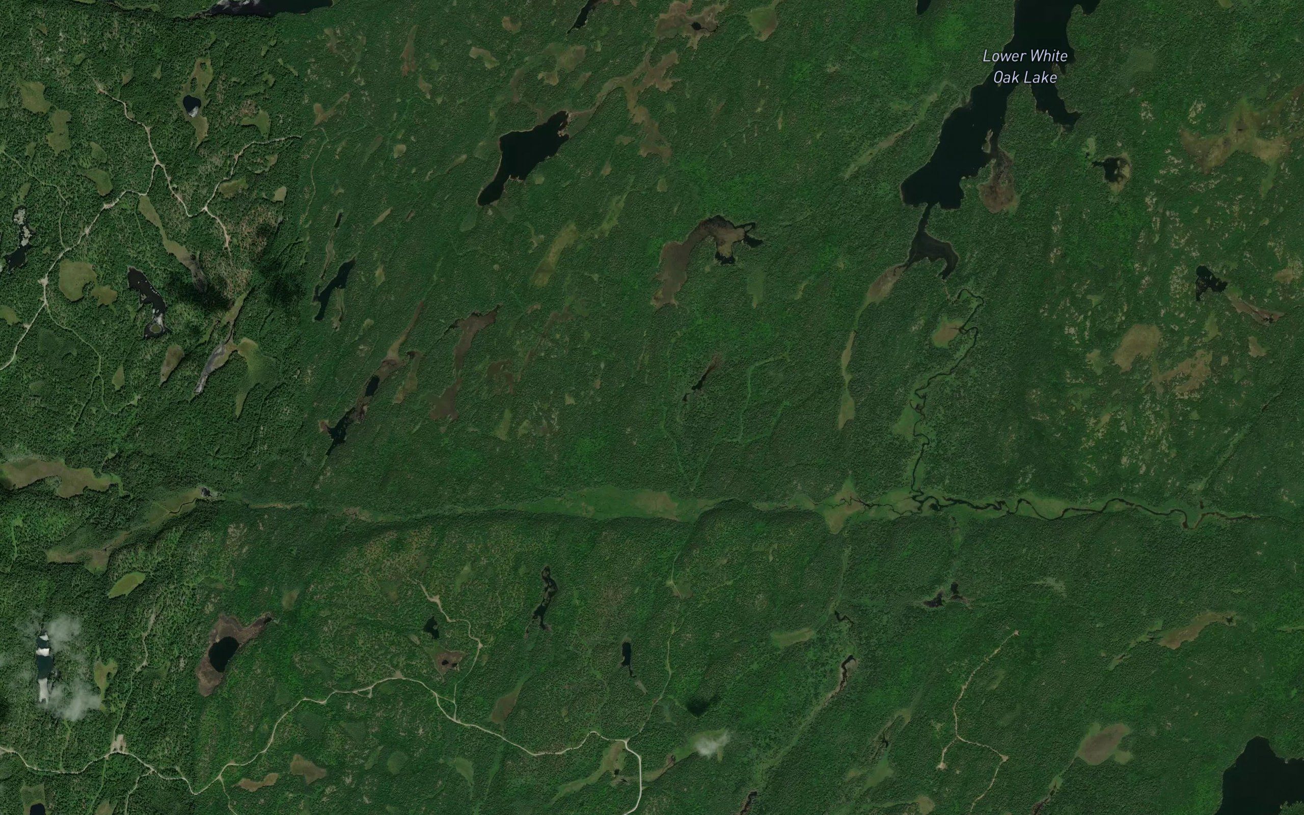 Halifax Creek