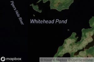 Whitehead Pond
