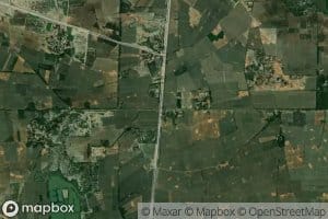 Distributary Number Four