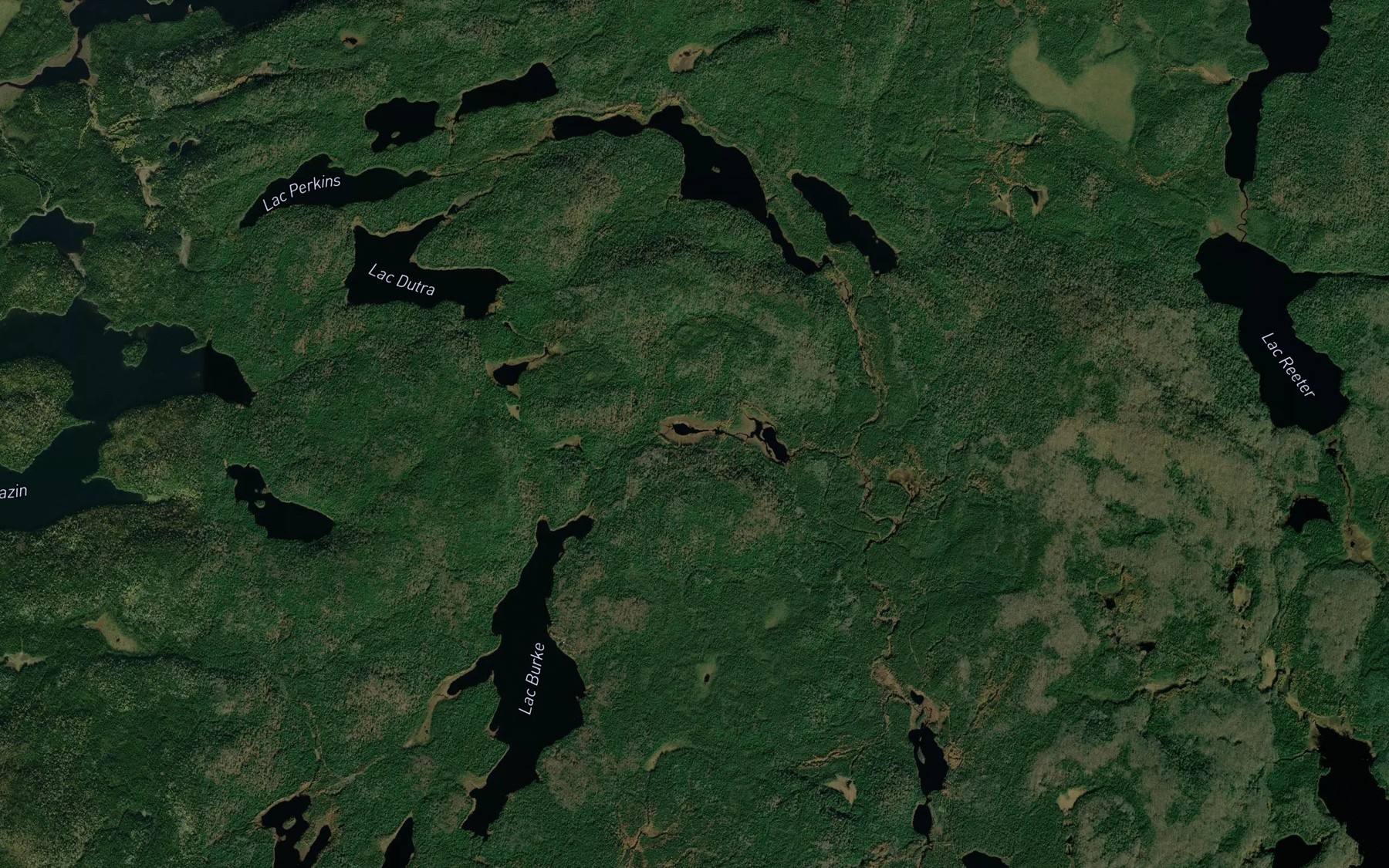 Satellite map of the Lac de la Bergeronnette