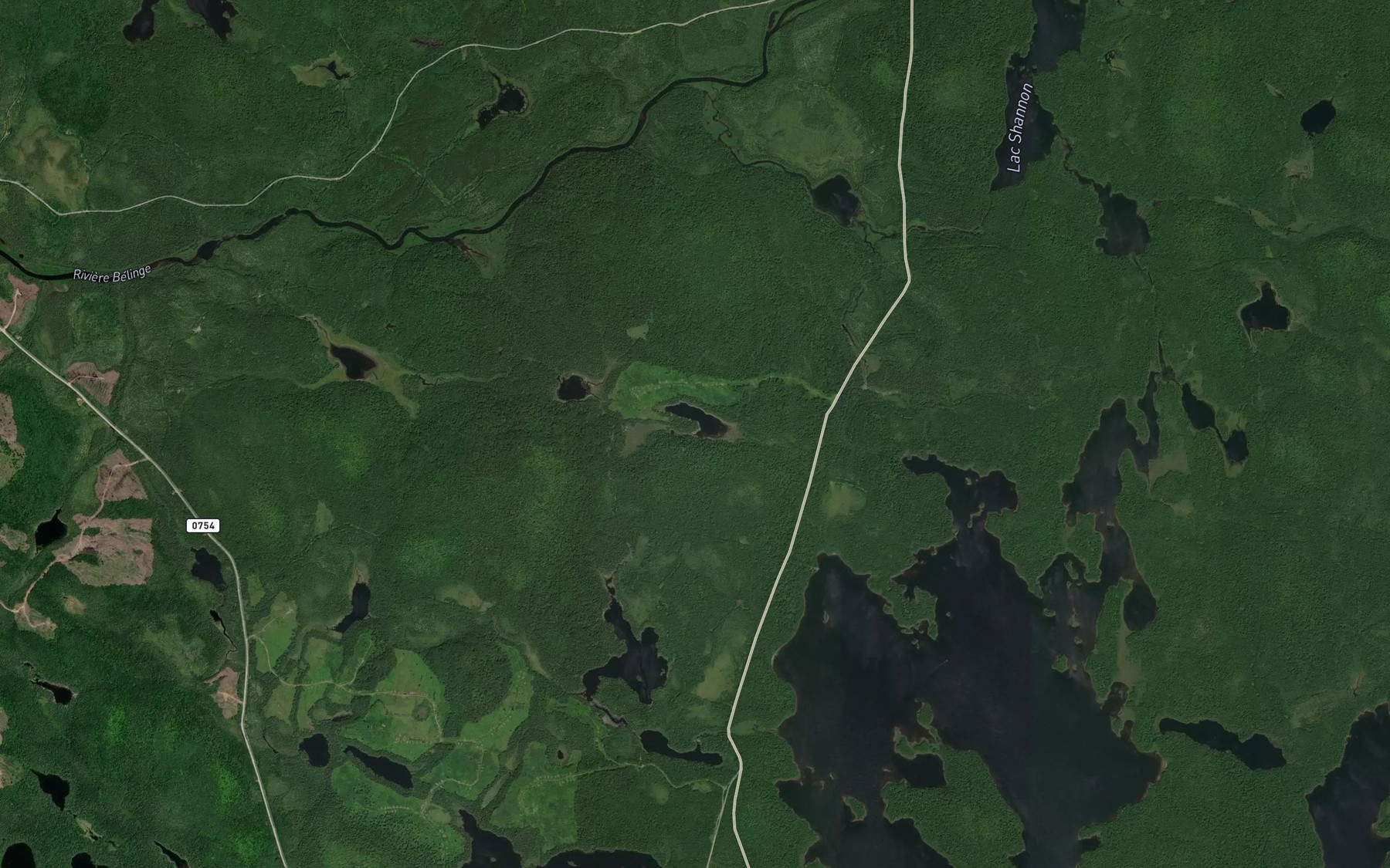 Satellite map of the Lac de l'Aile du Feu