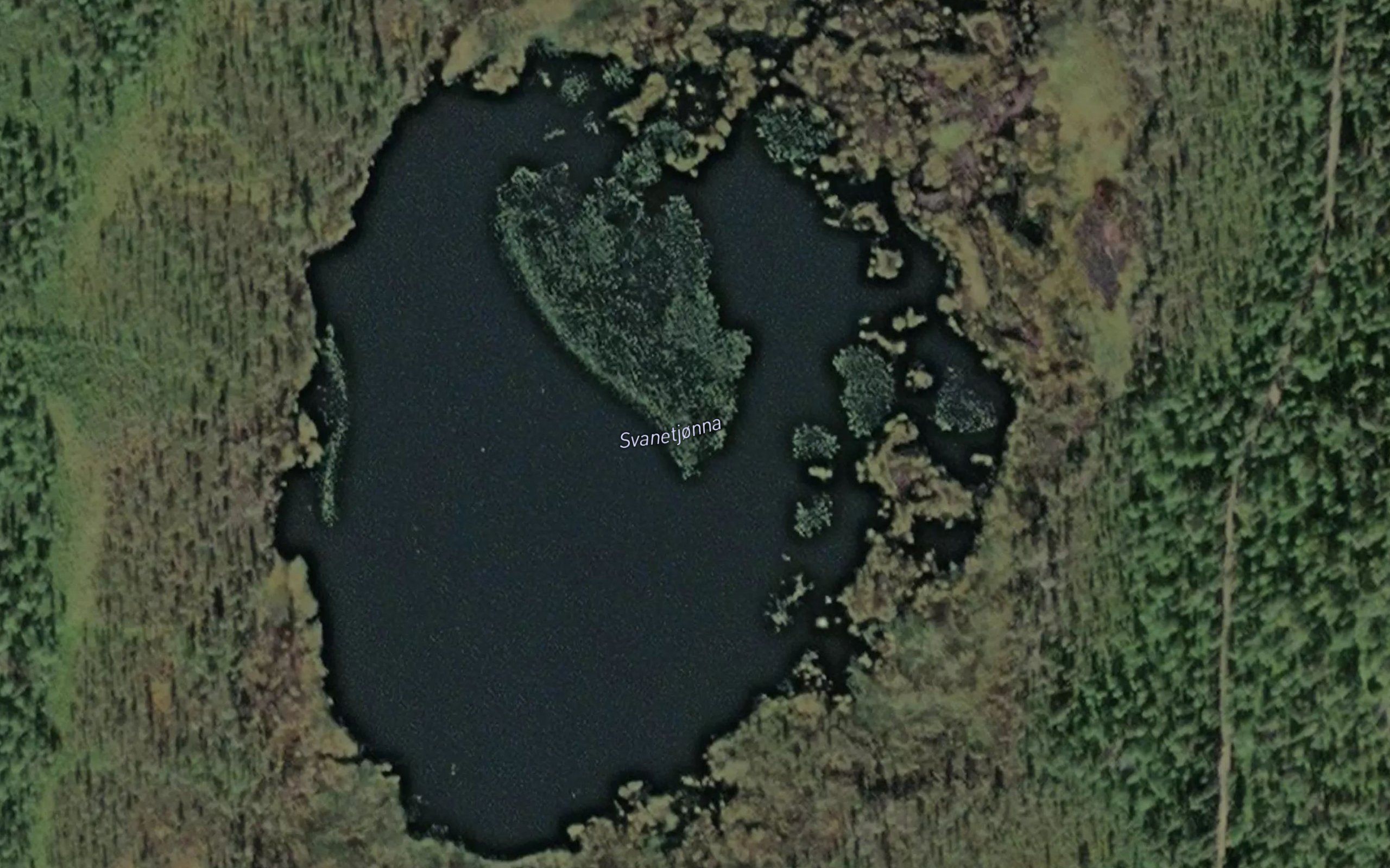 Svanetjonna