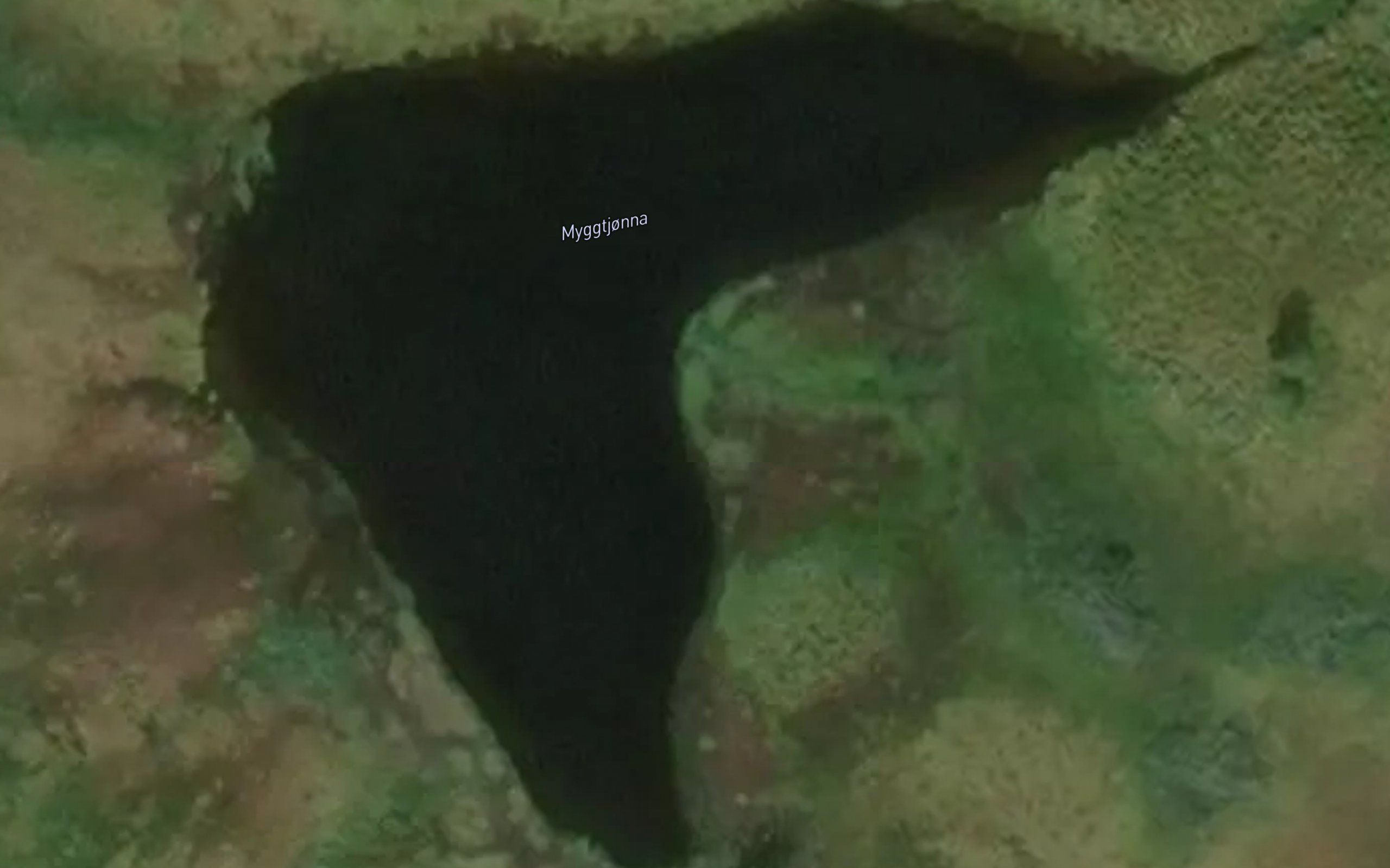 Myggtjorna