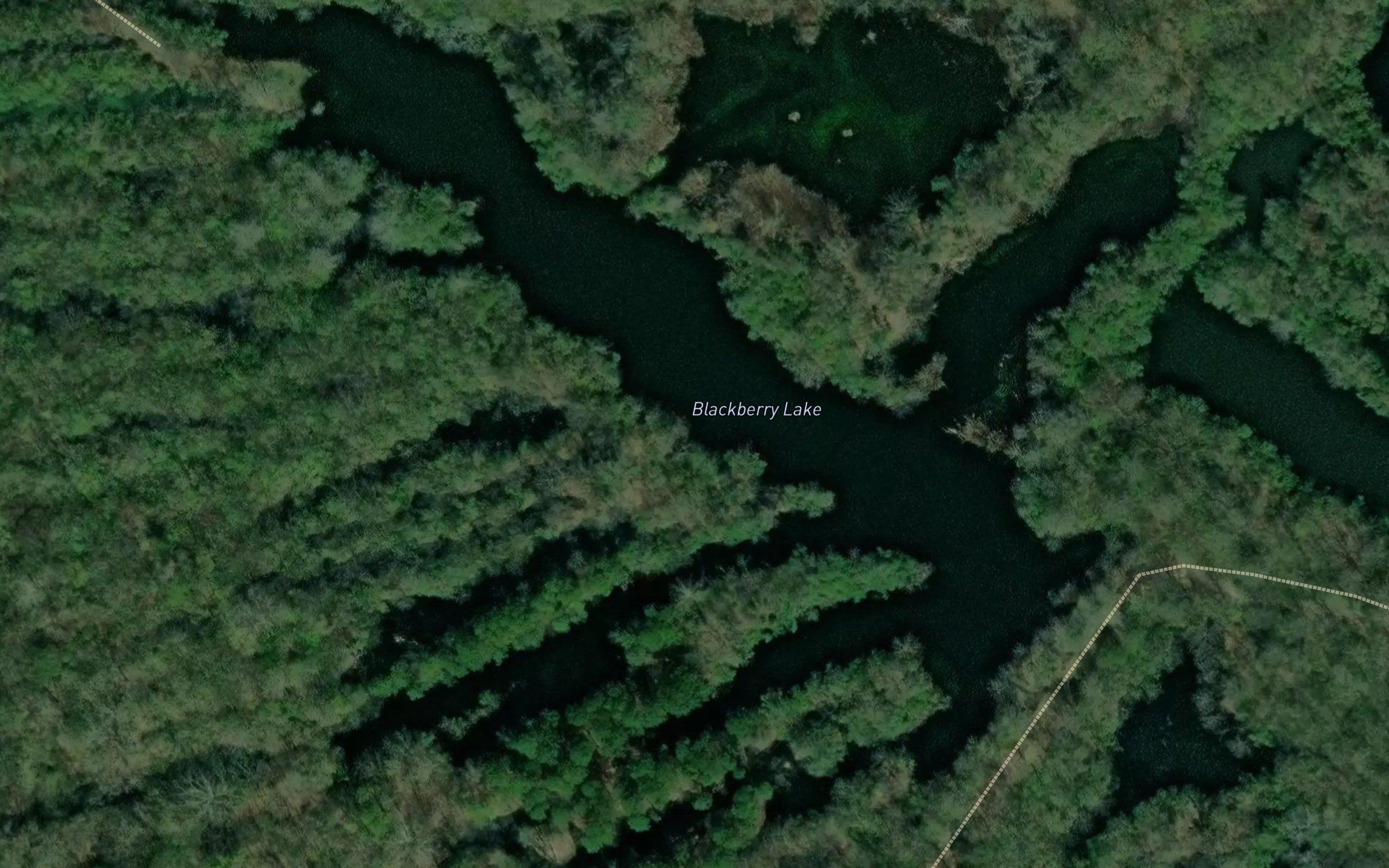 Blackberry Lake