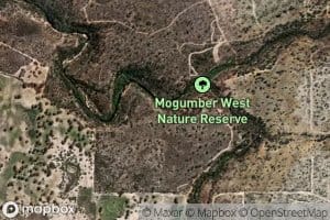 East Branch Moore River