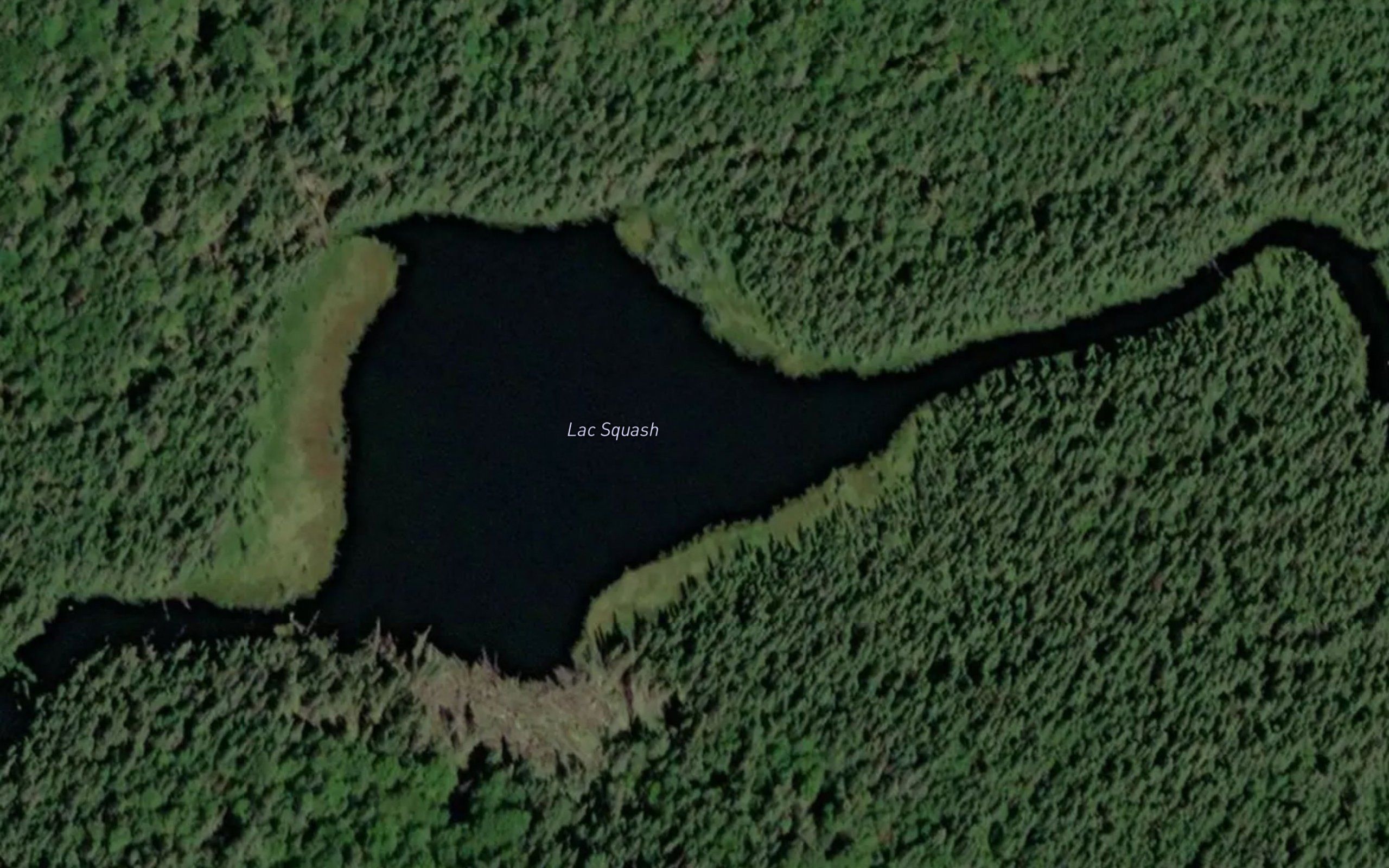 Lac Squash