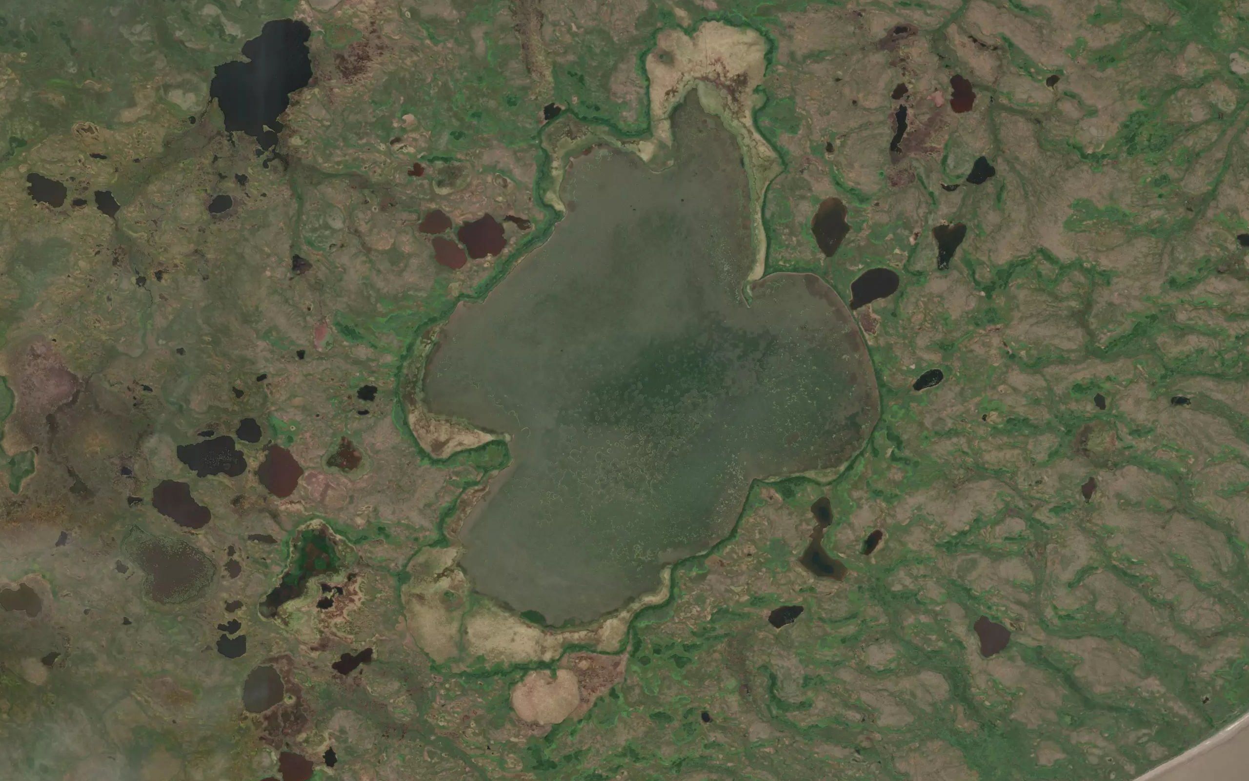 Supply Lake