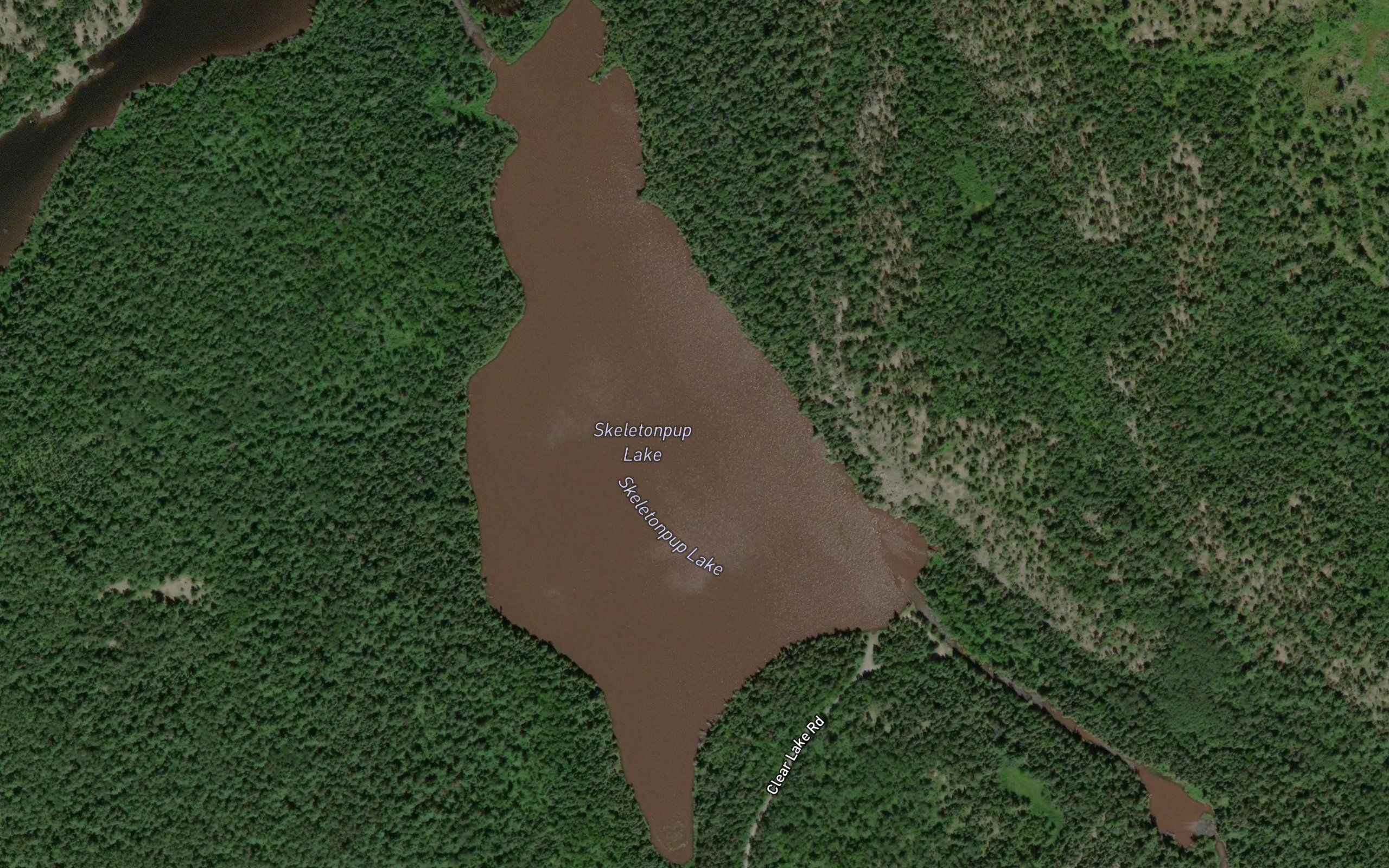 Skeletonpup Lake