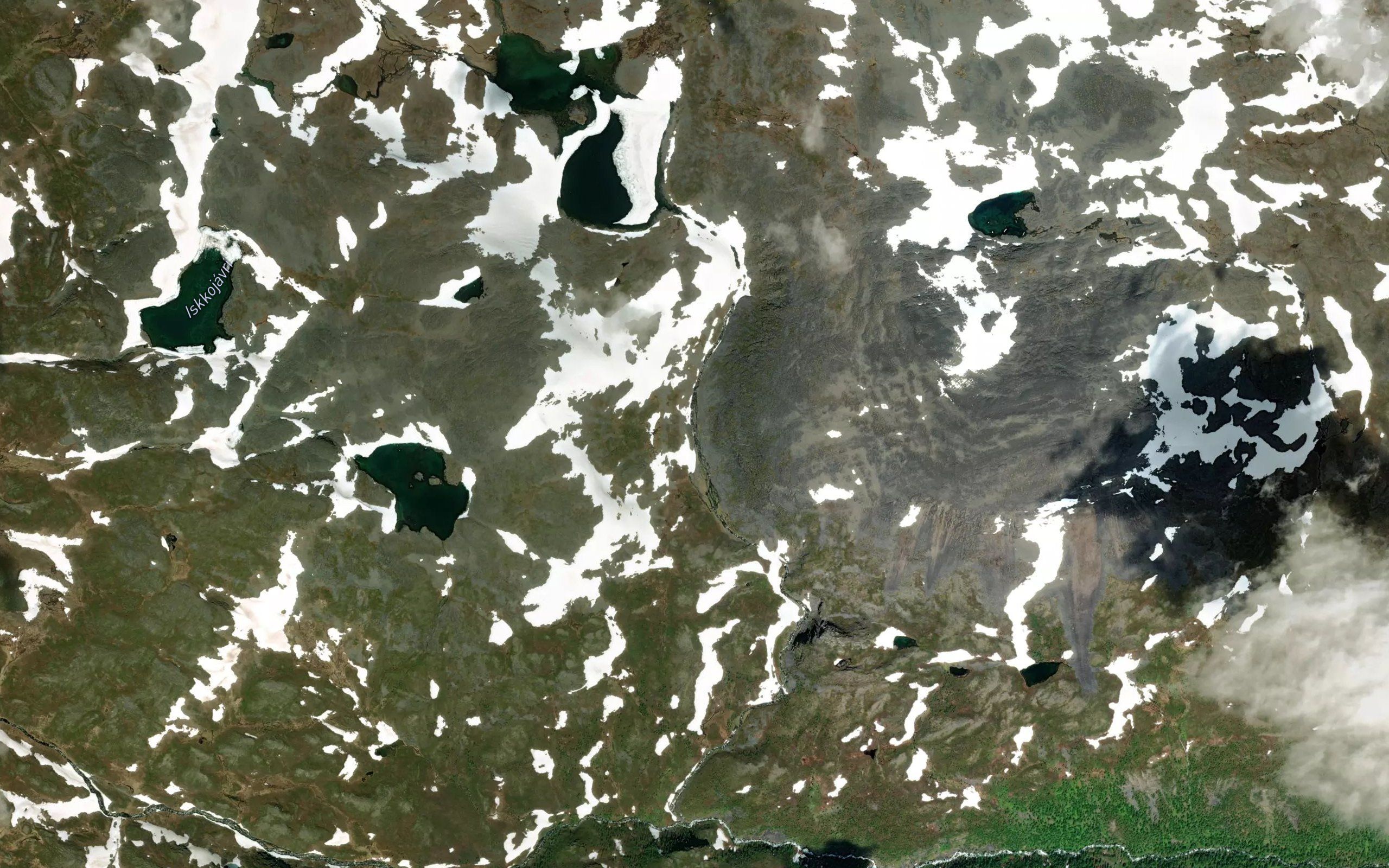 Buoidatjakka