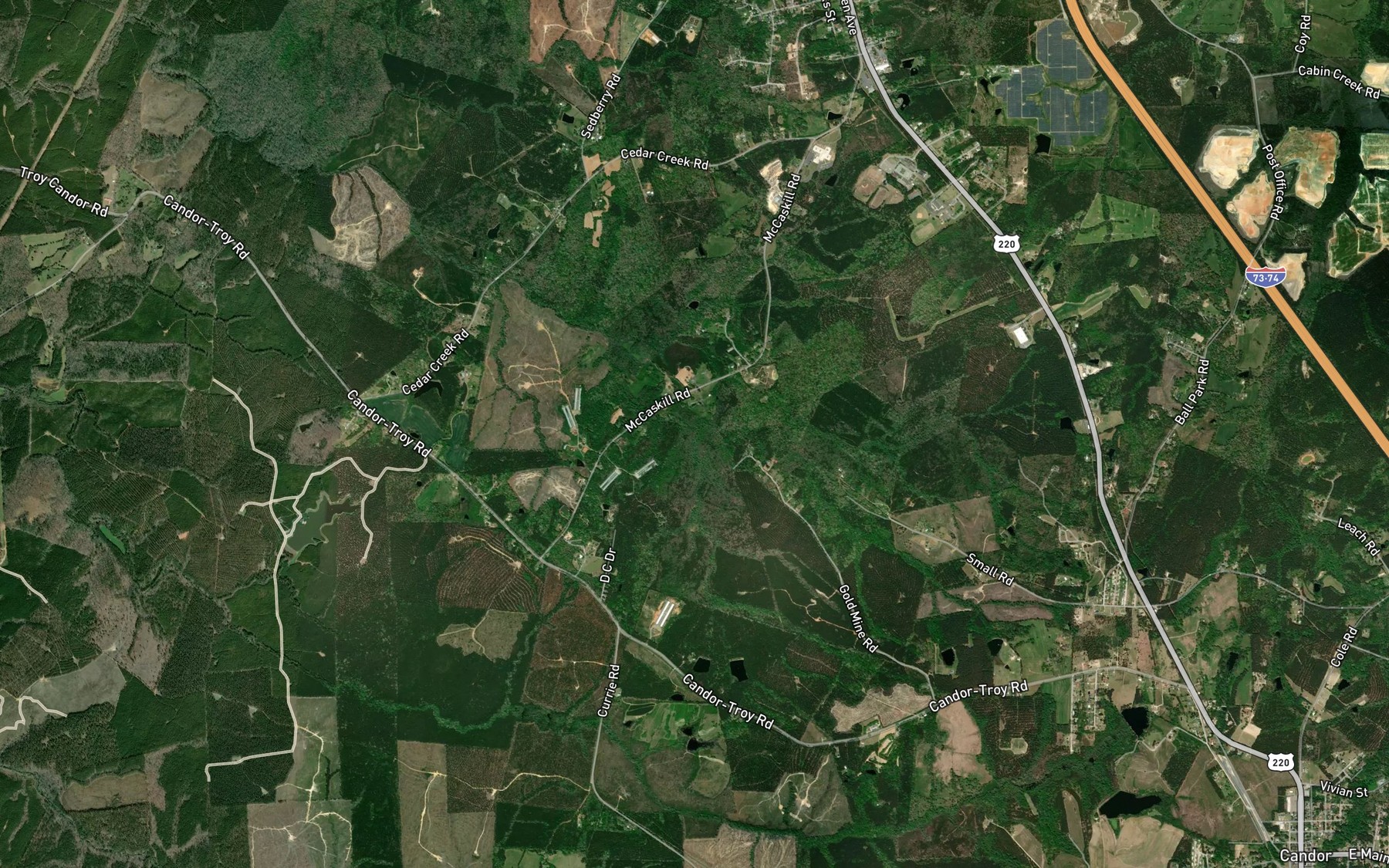 Satellite map of the Gold Branch