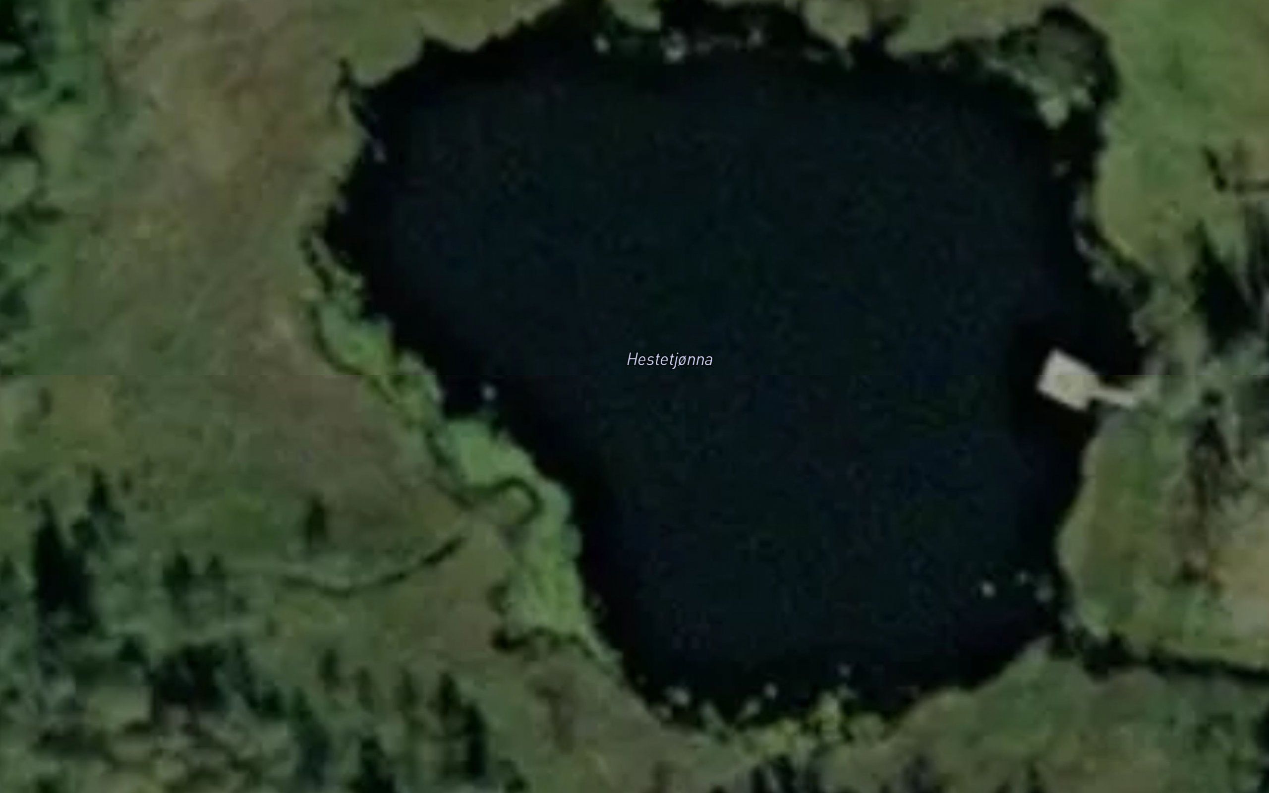 Hestetjonna