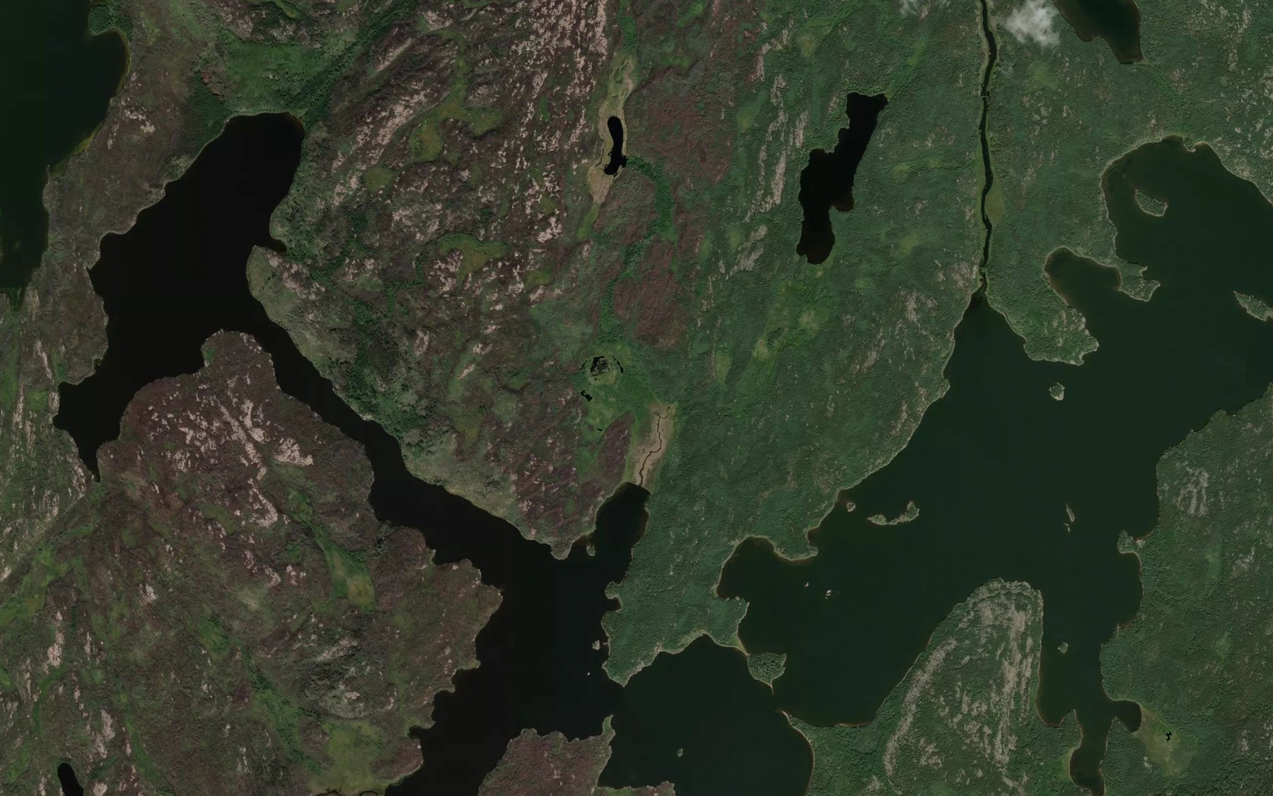 Satellite map of the Michaud Bay
