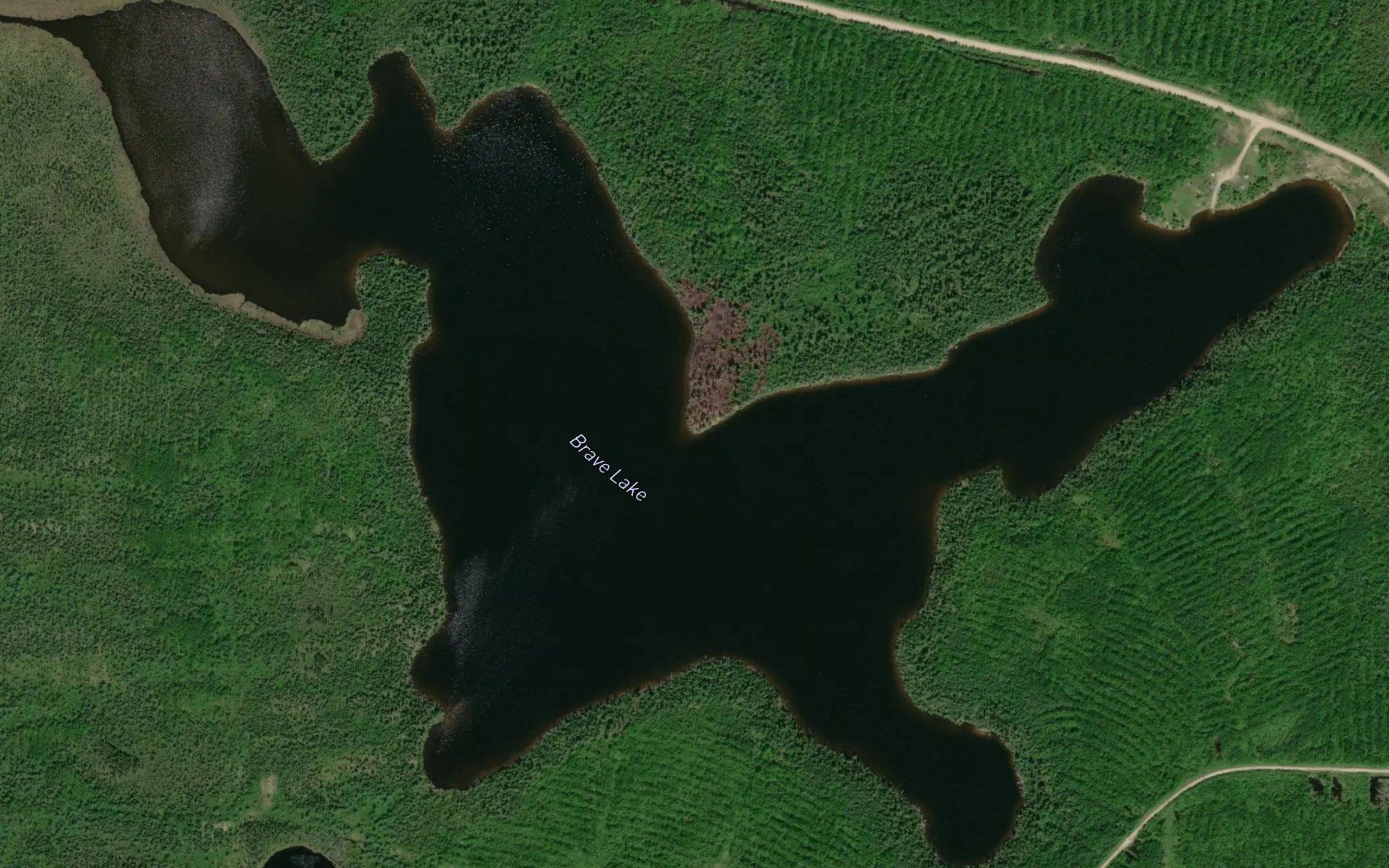 Brave Lake