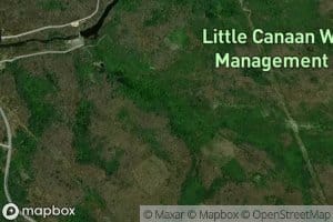 East Branch Weimer Run