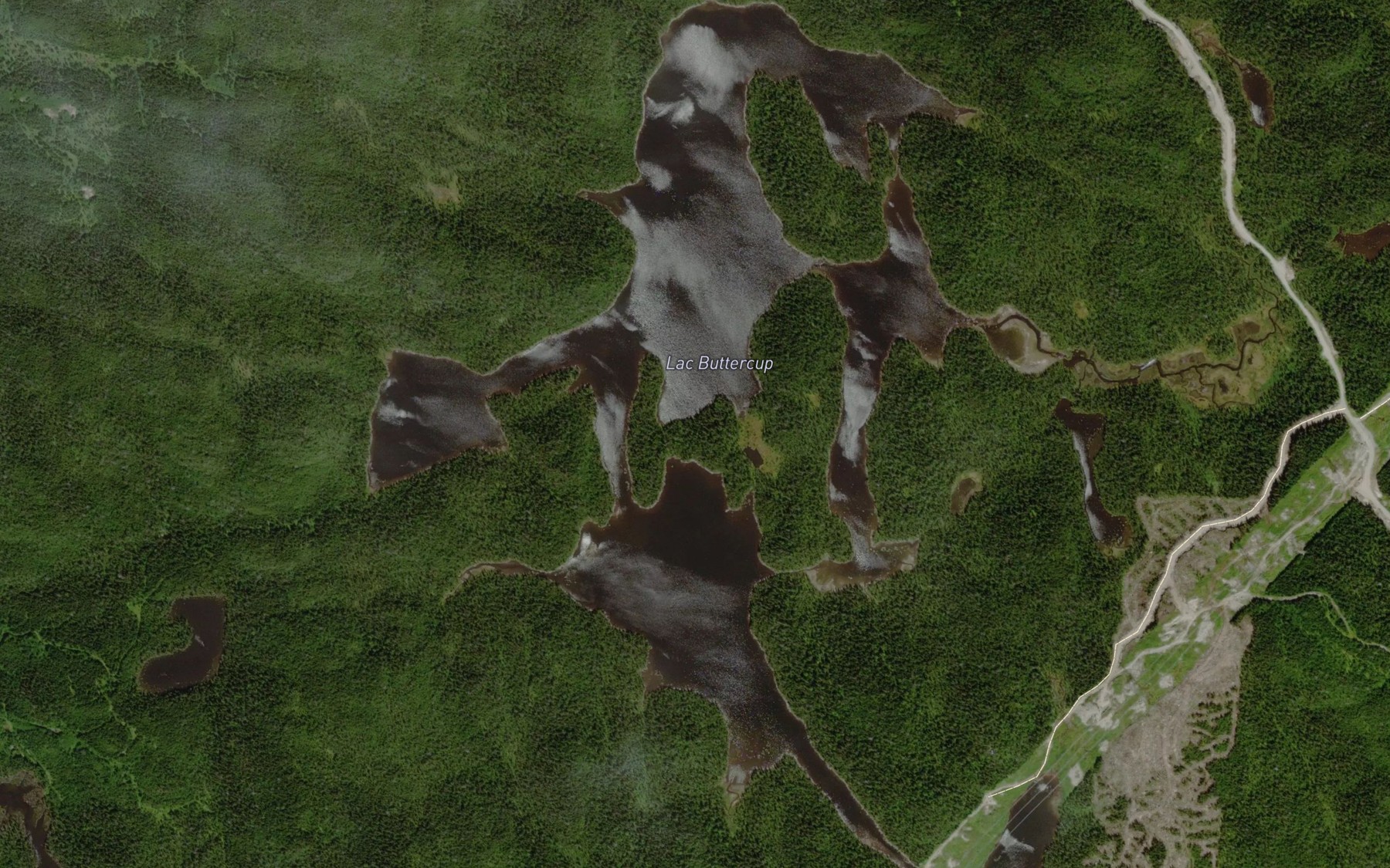 Satellite map of the Lac Buttercup