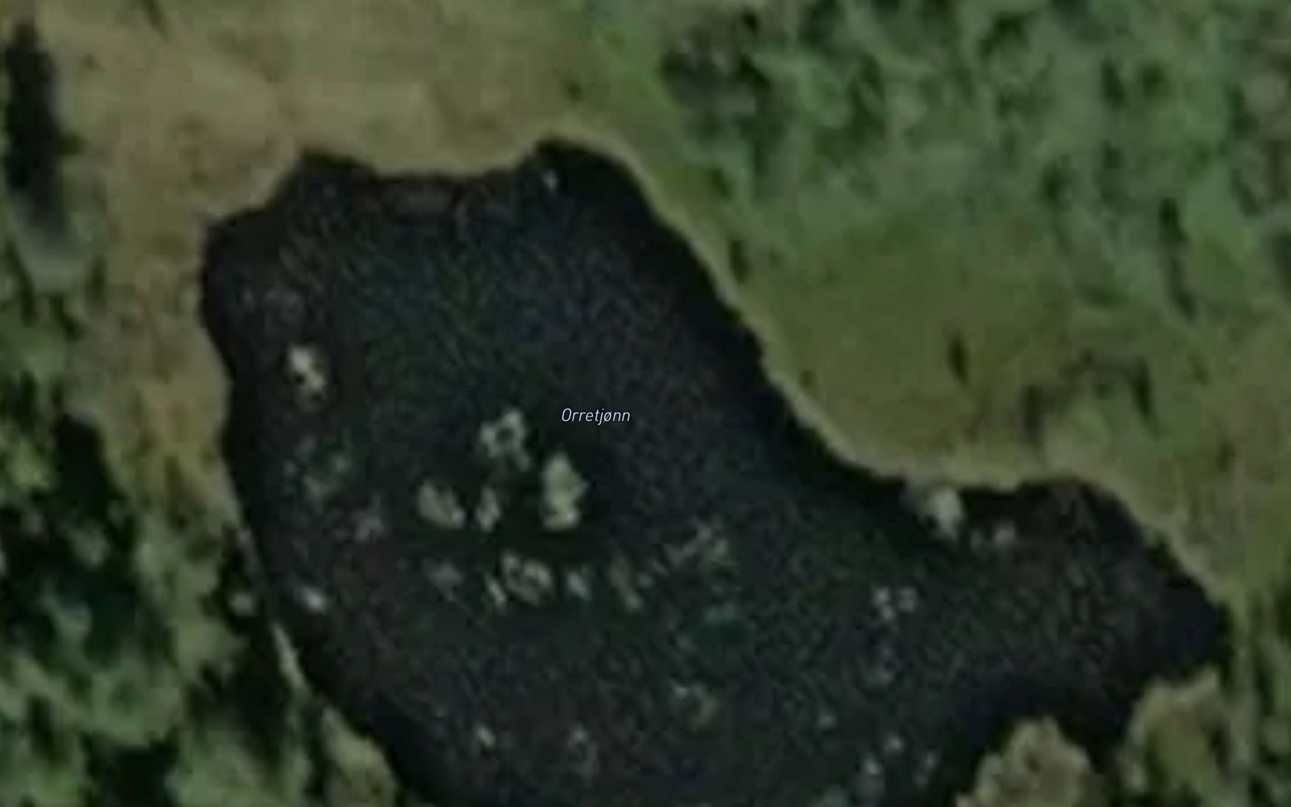 Orretjonn