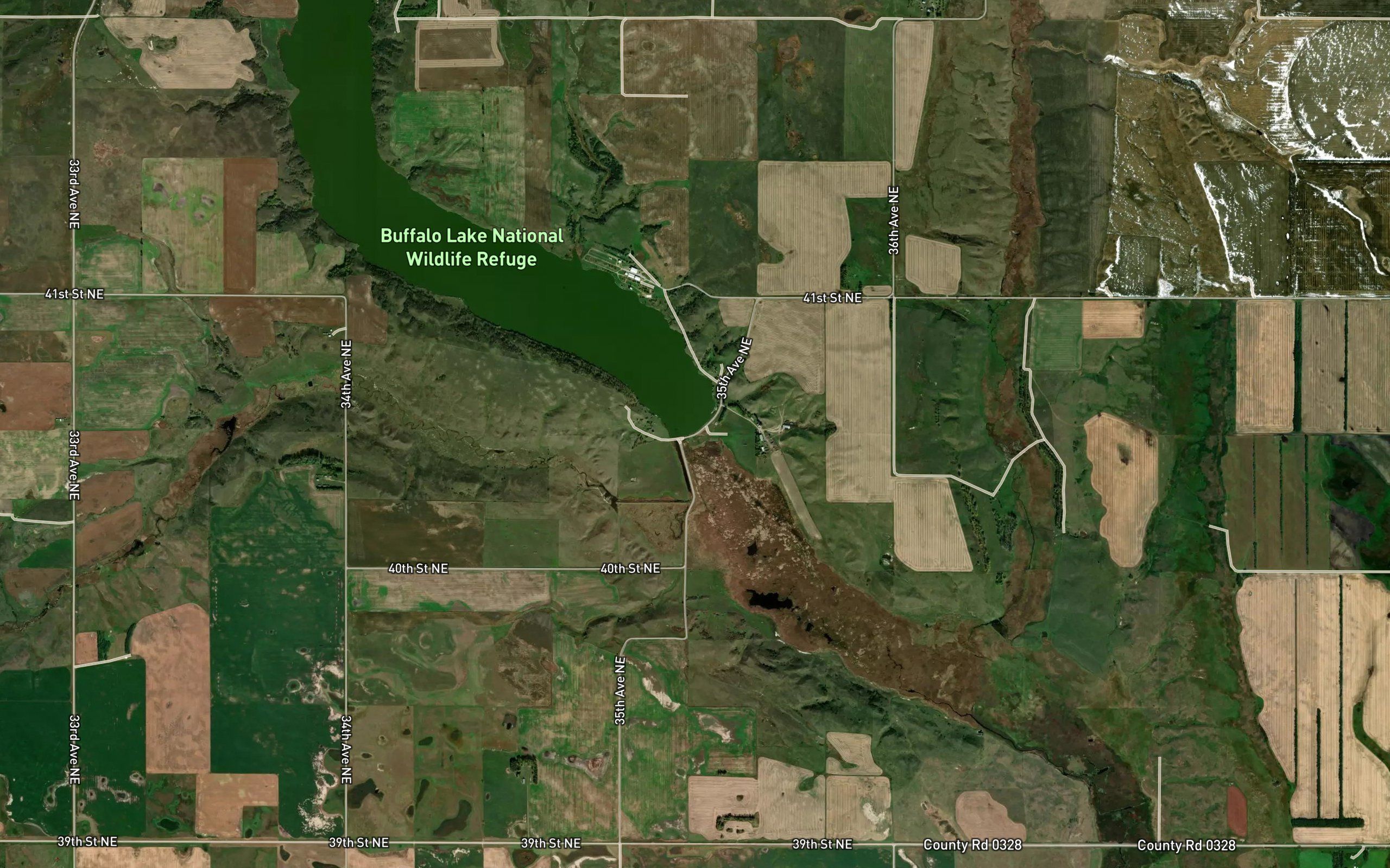 Buffalo Lake