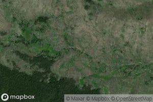 South Fork Open Creek