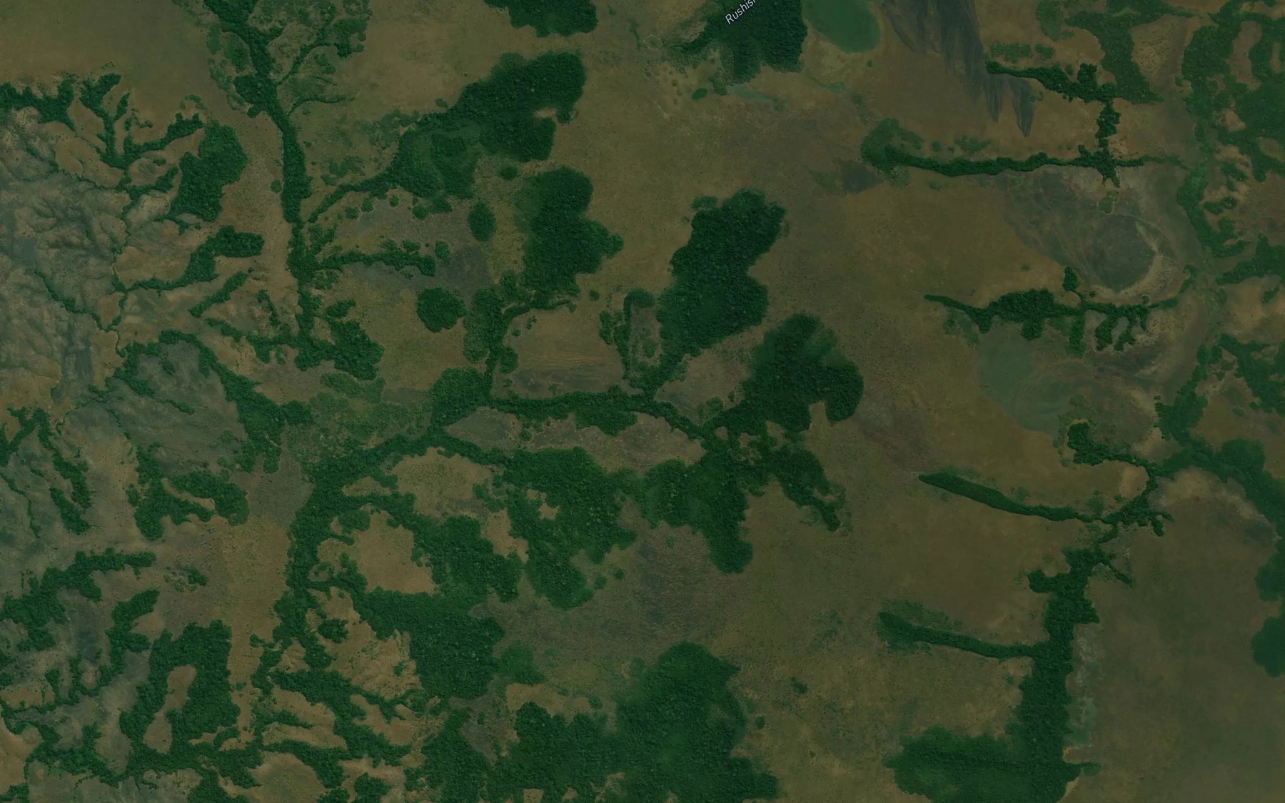 Satellite map of the Weji