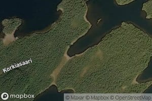 Njaskempeeci