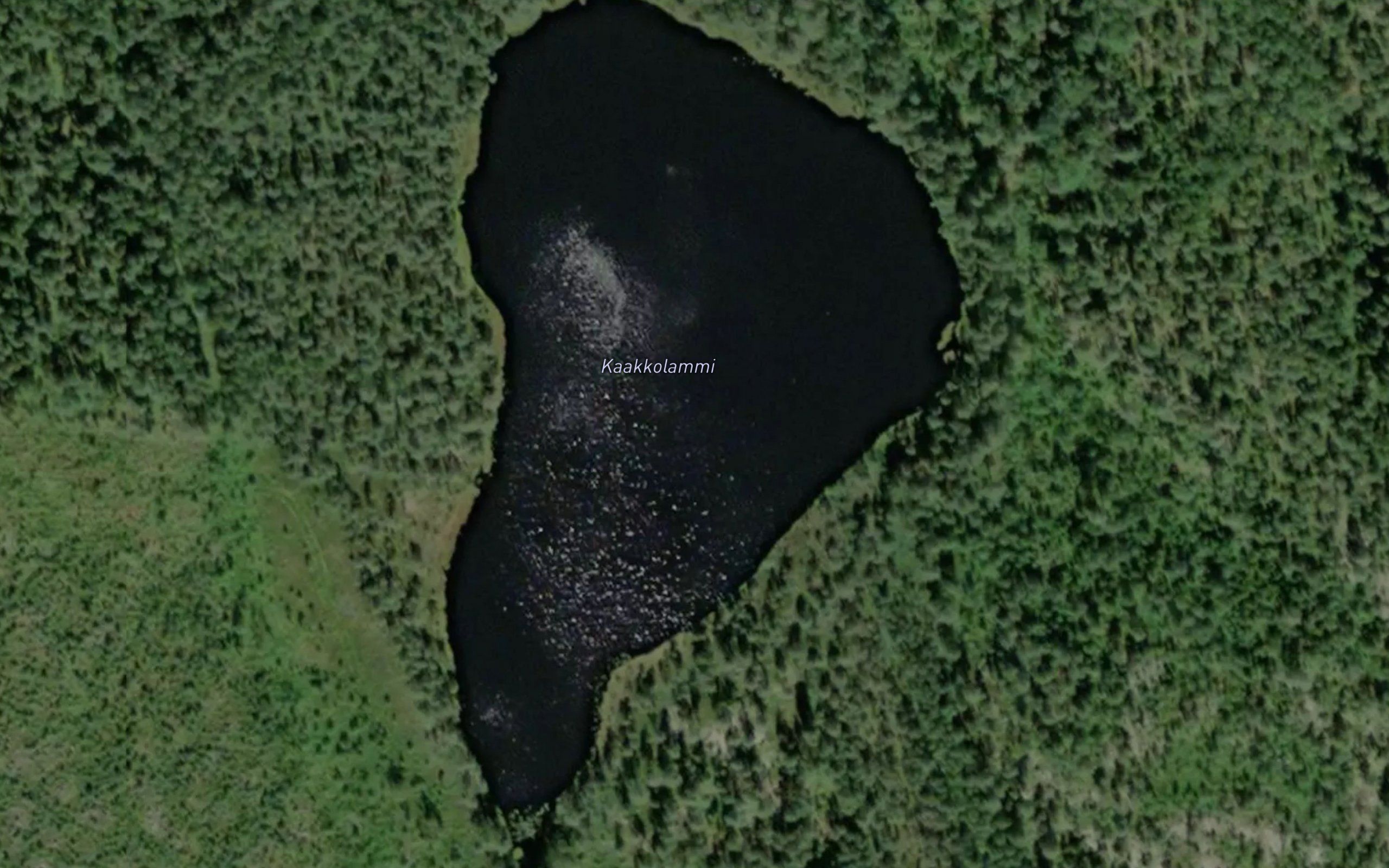 Kaakkolammi