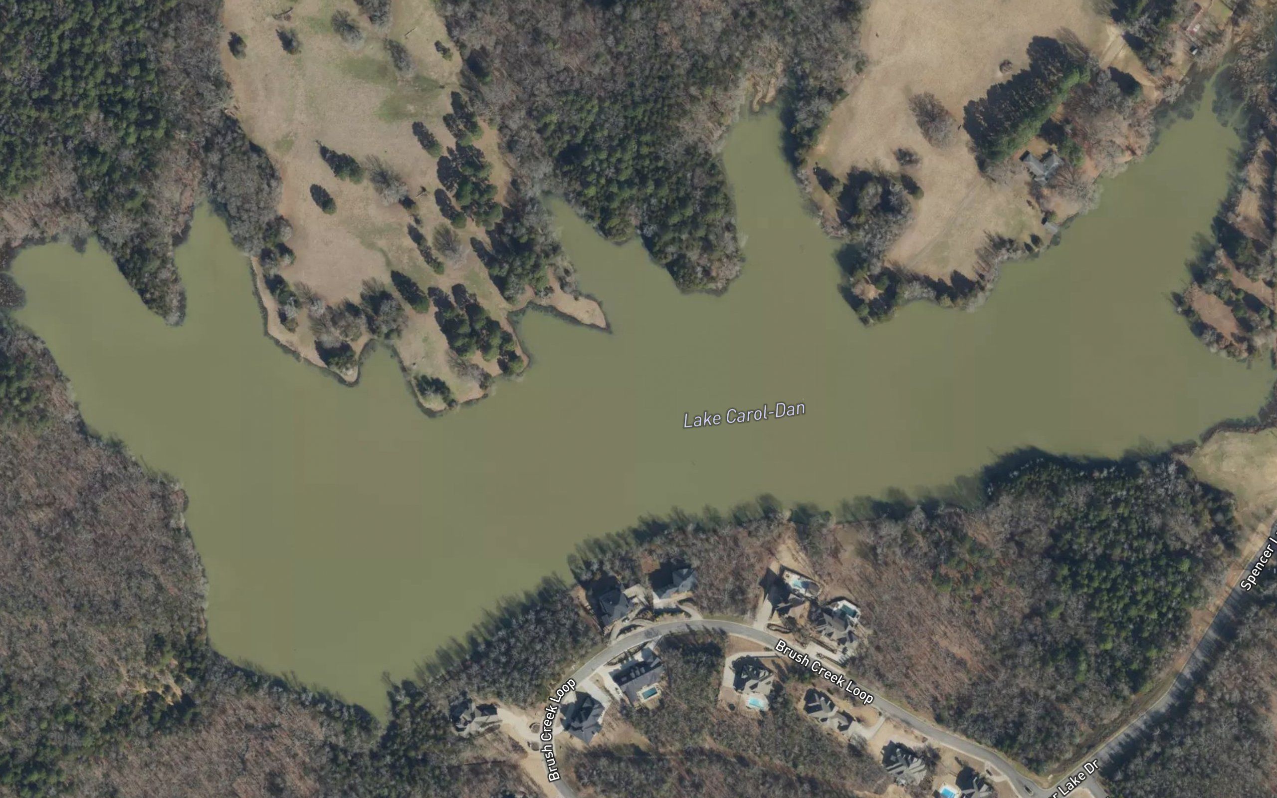 Lake Carol-Dan