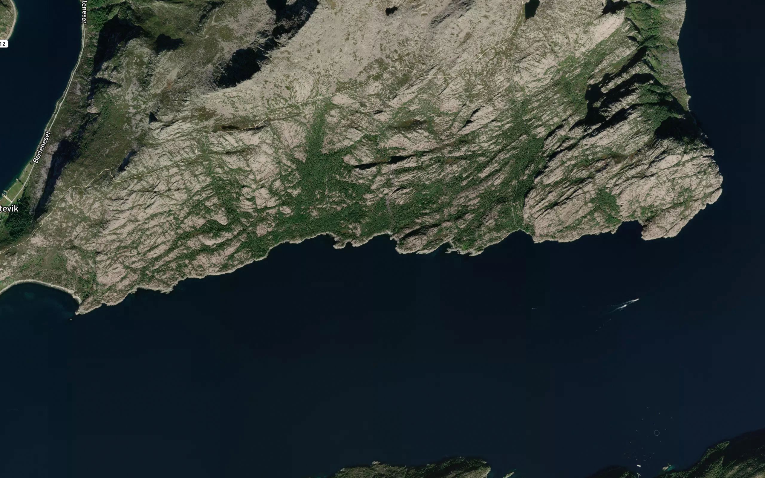 Simavika