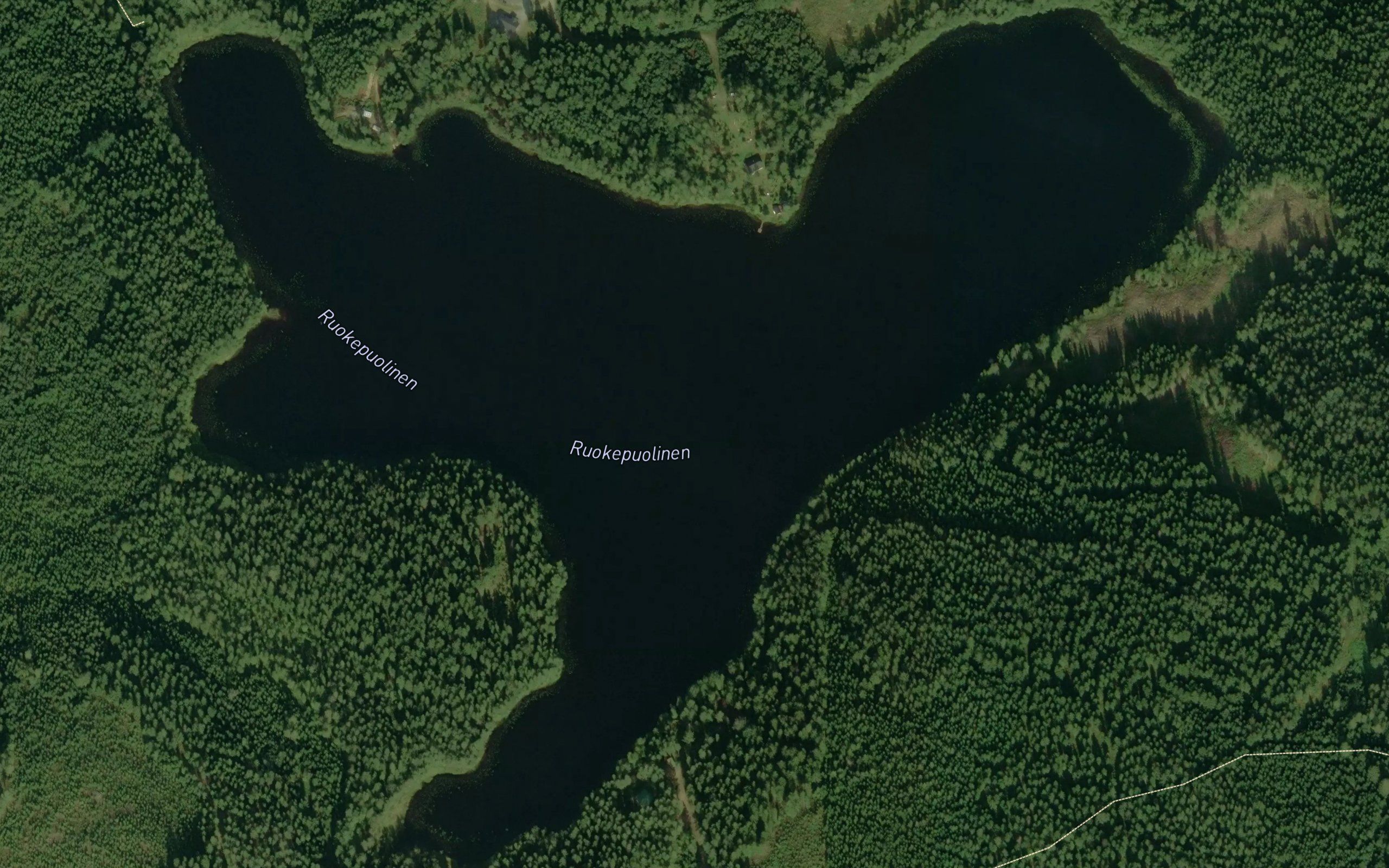 Ruokepuolinen