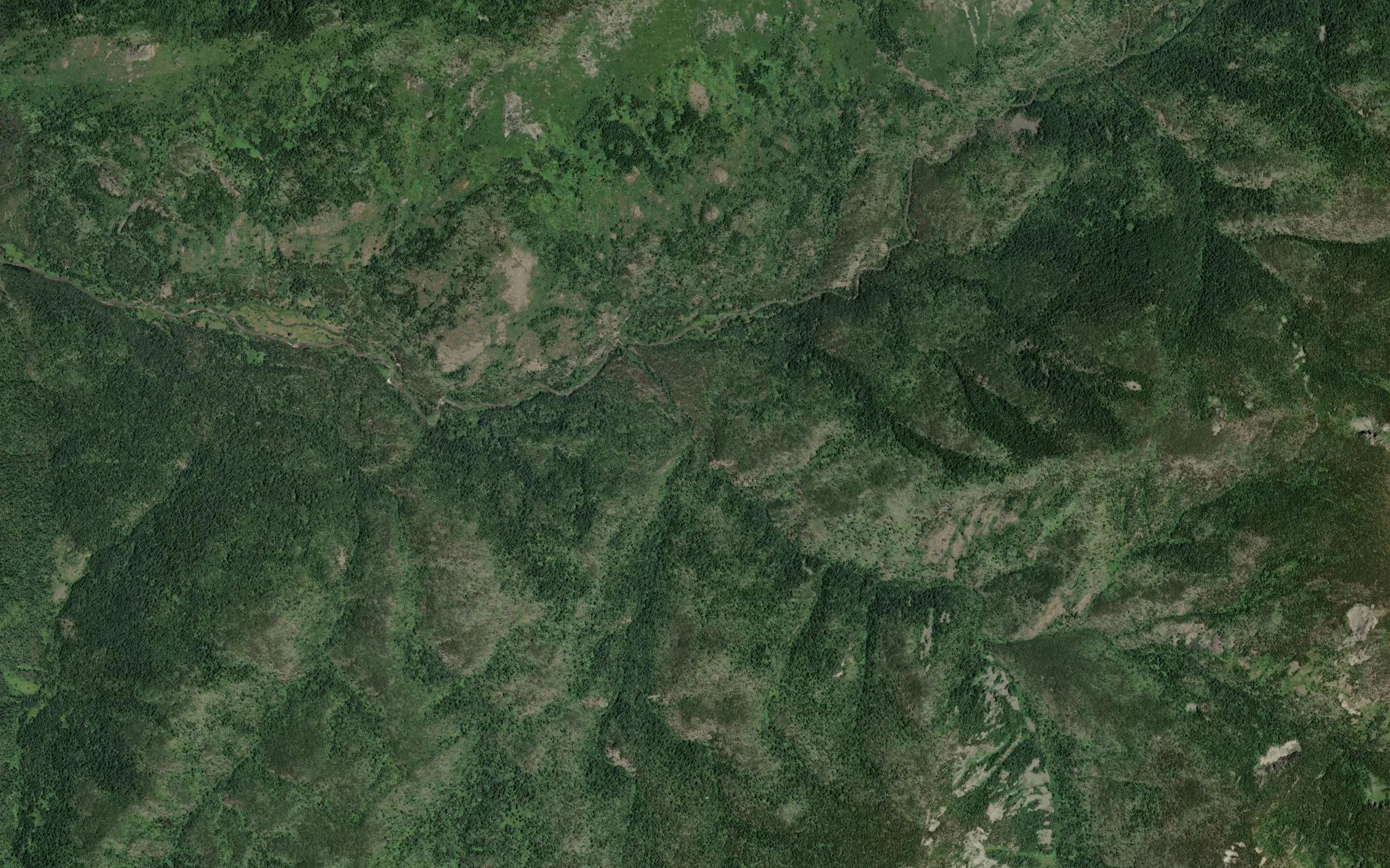 Negro Creek