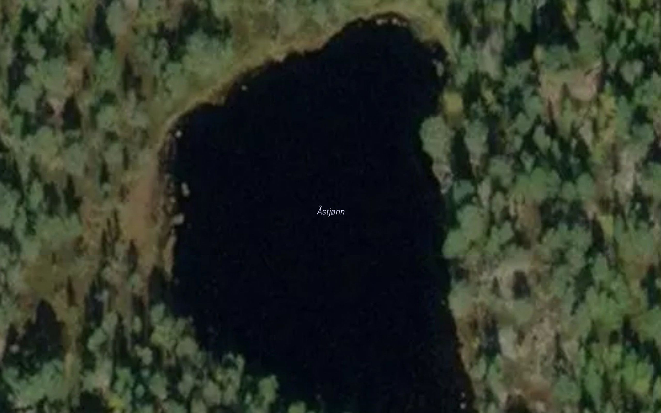 Astjorn