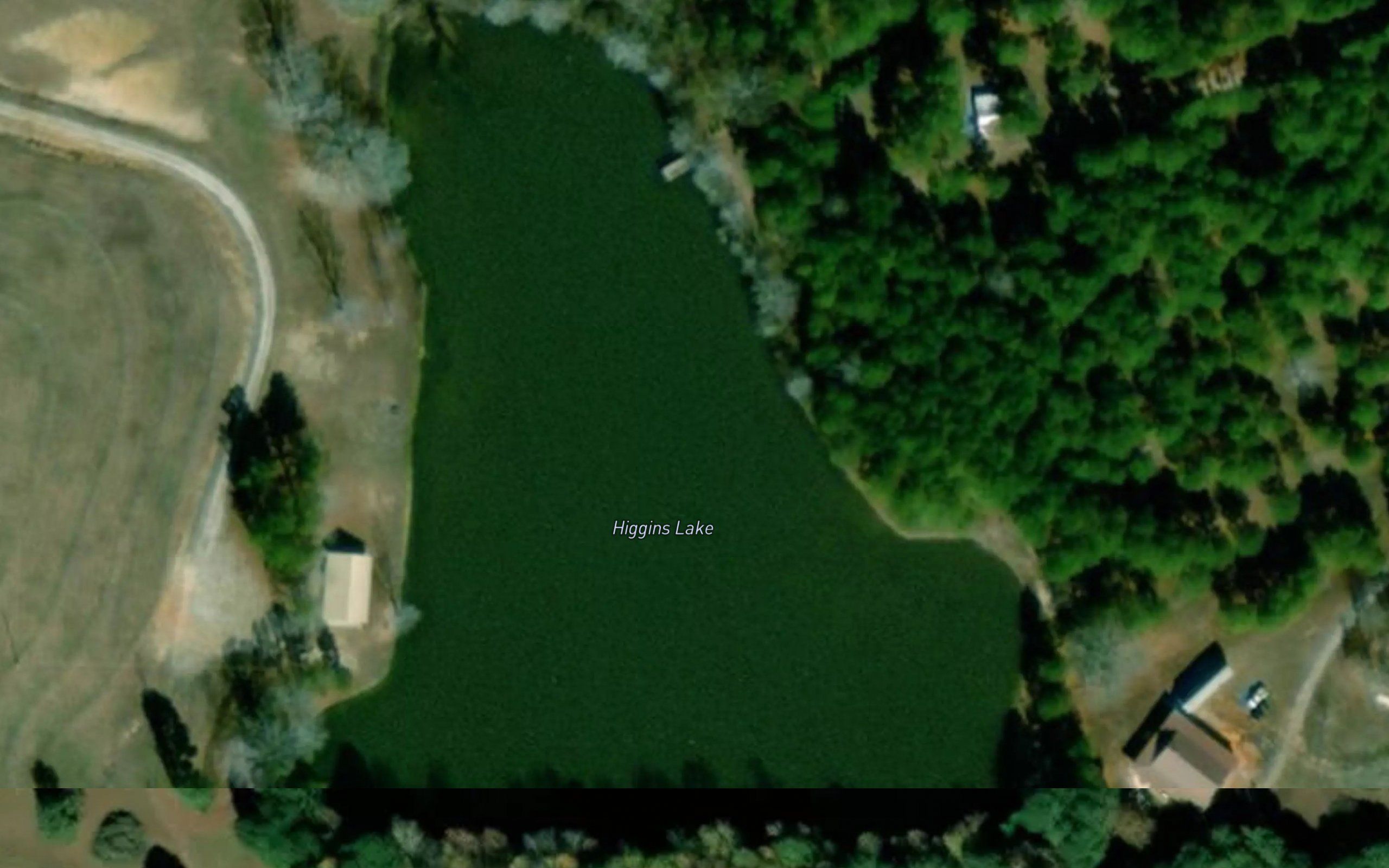 Higgins Lake