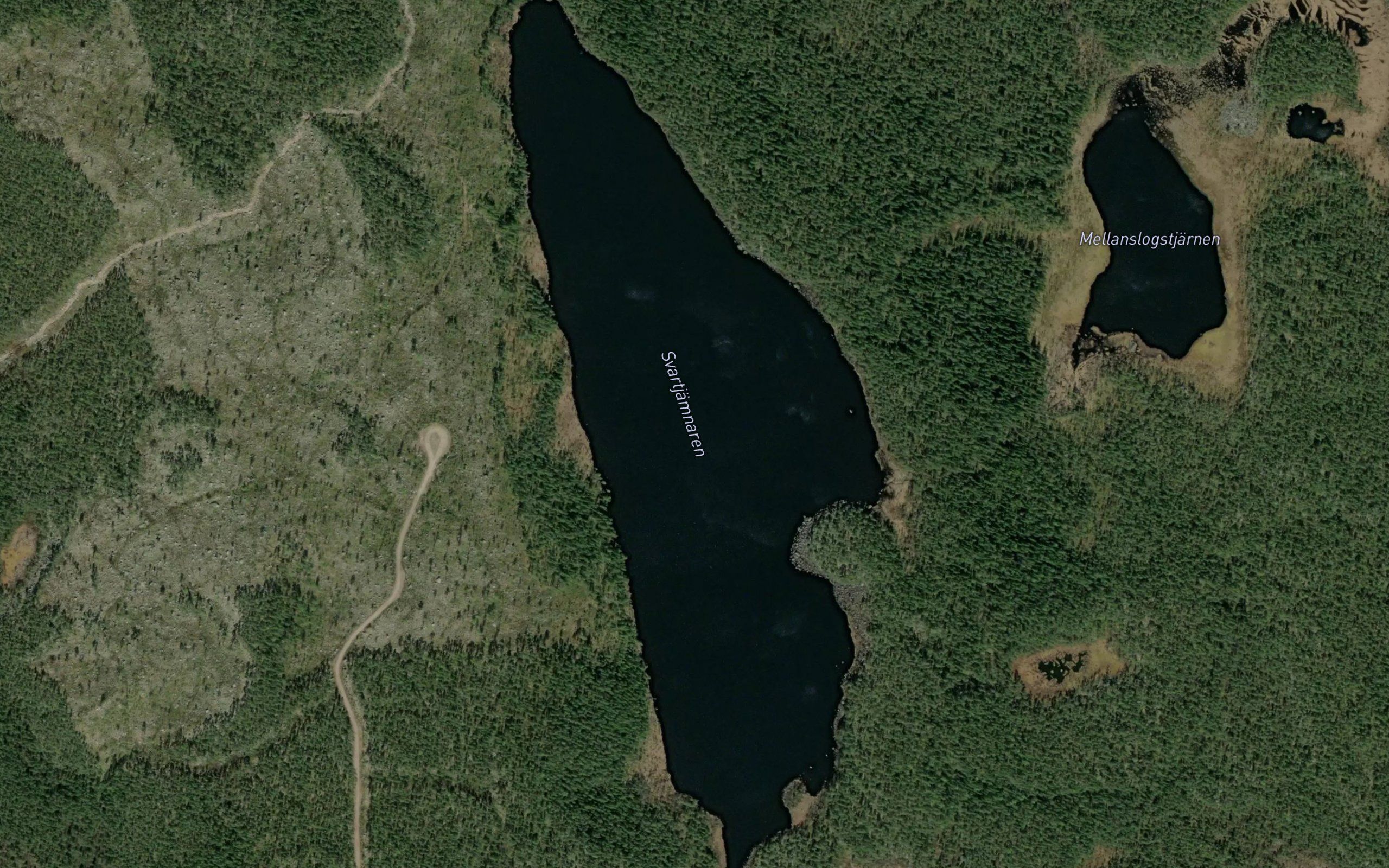 Svartjaemnaren
