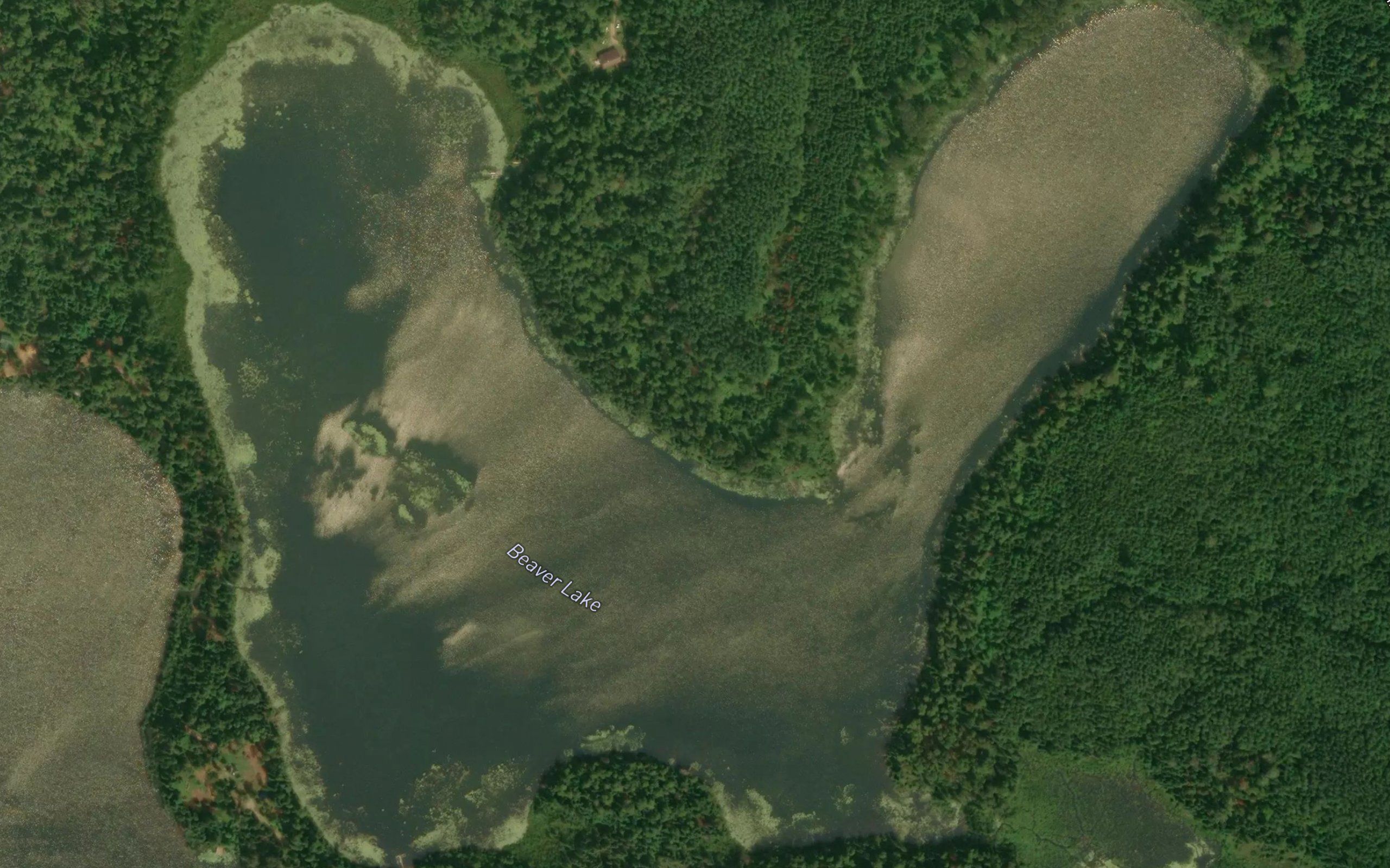 Beaver Lake