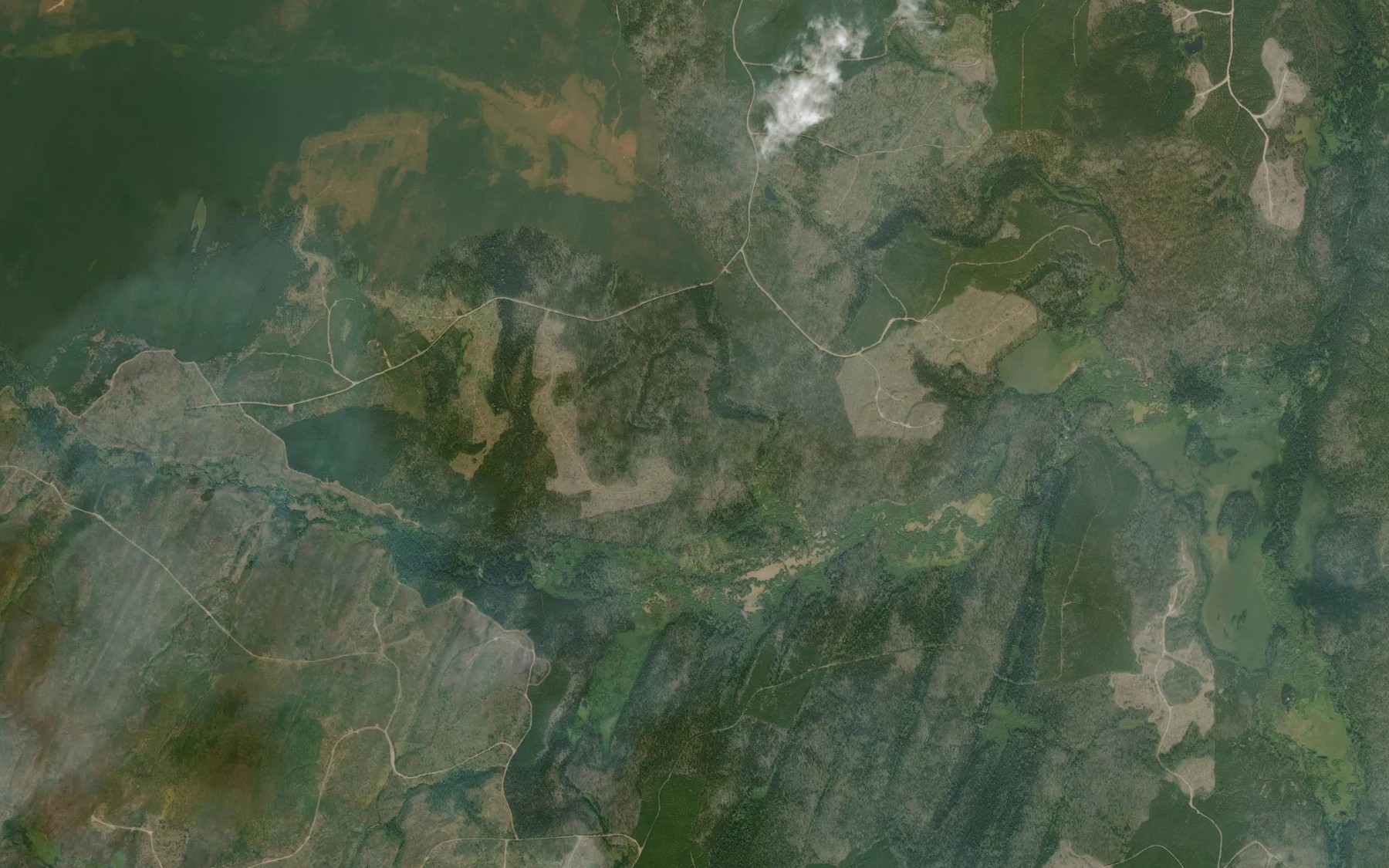 Satellite map of the Trapline Creek