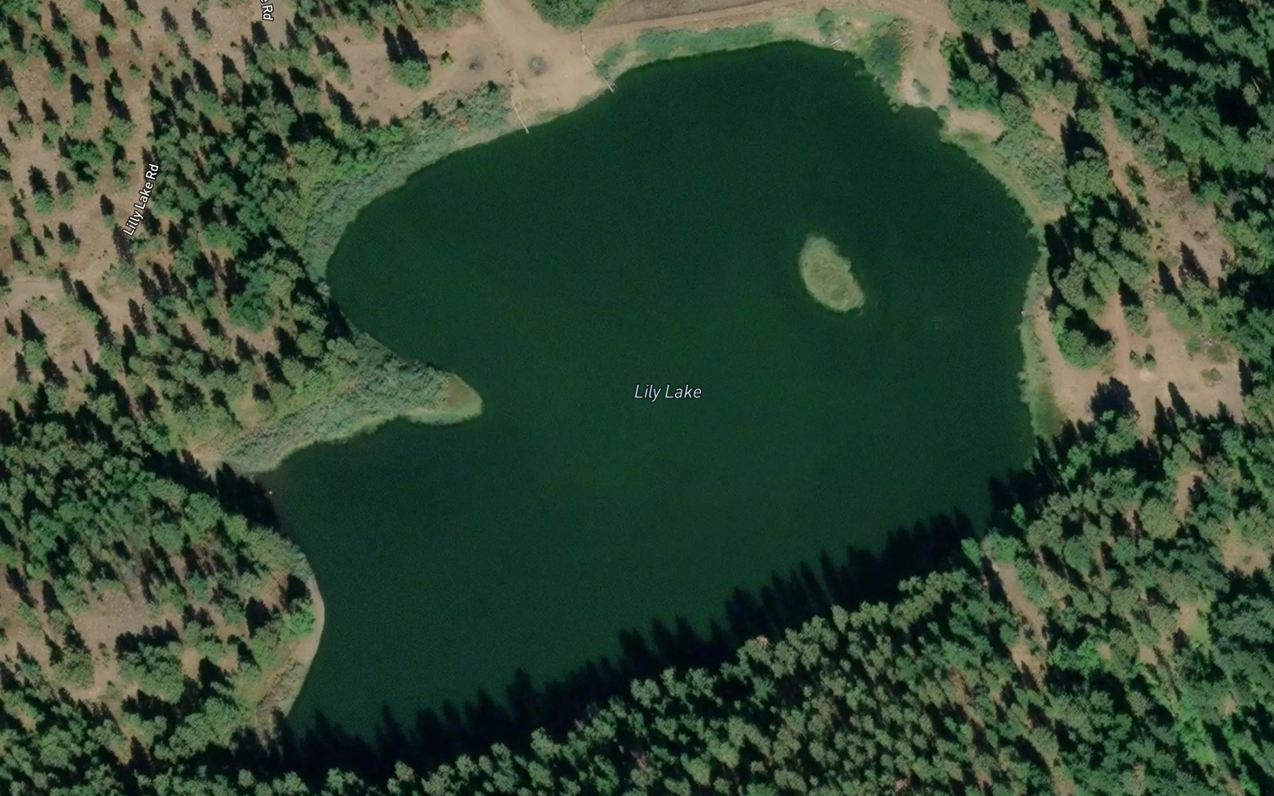 Satellite map of the Lily Lake